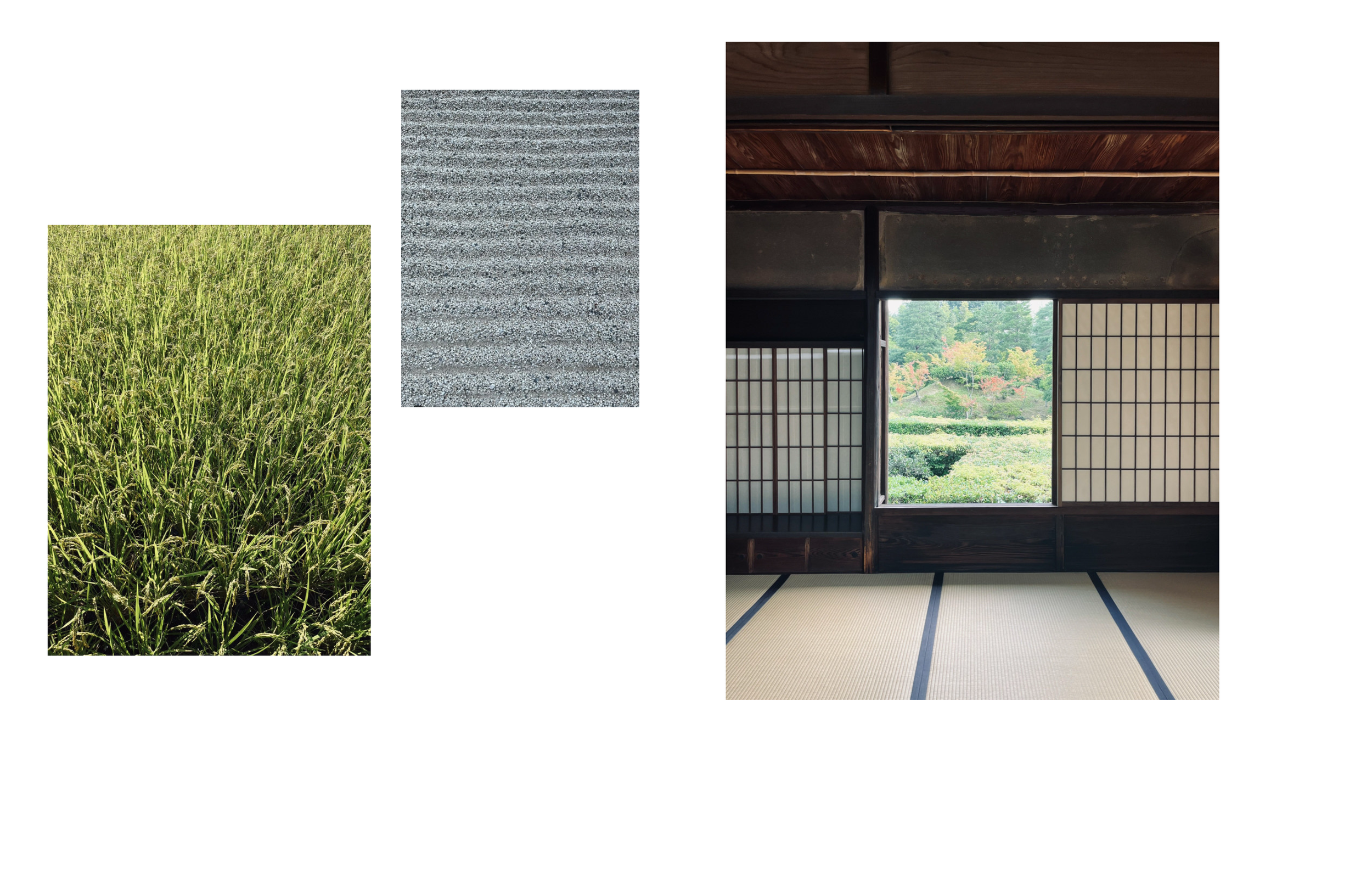 Screenshot 2025-12-25 at 12.19.28.png