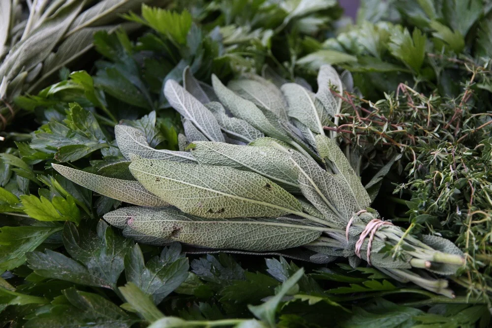 Preserving the Harvest: Fresh Herbs