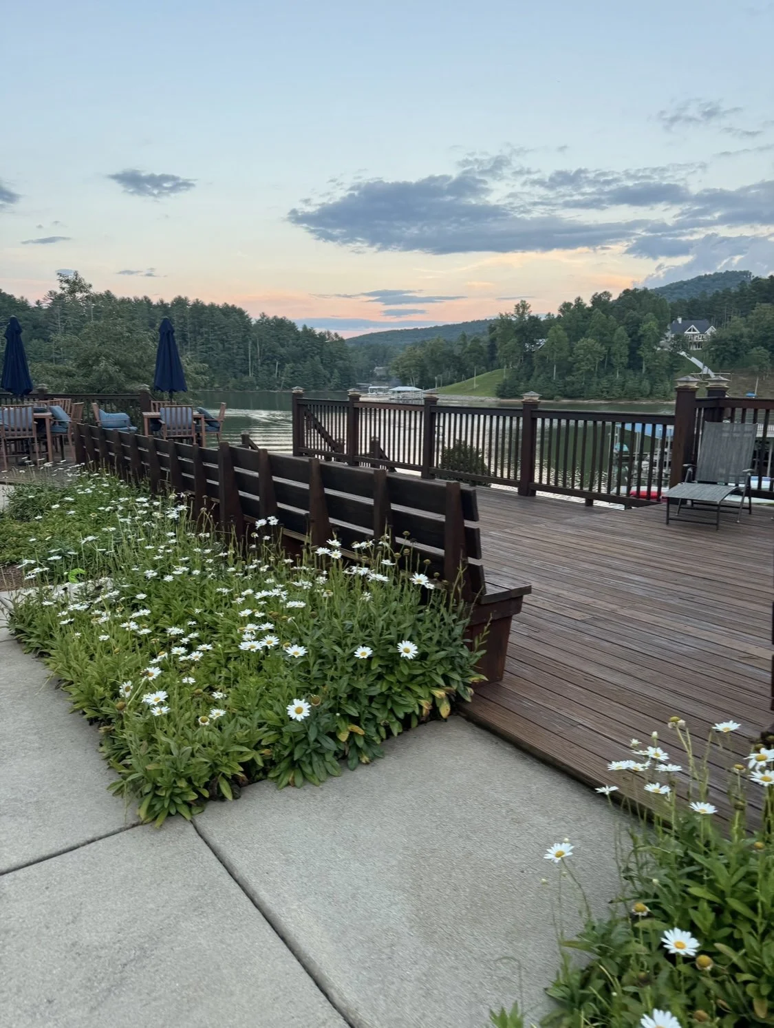 flowers by lake IMG_0068.jpg