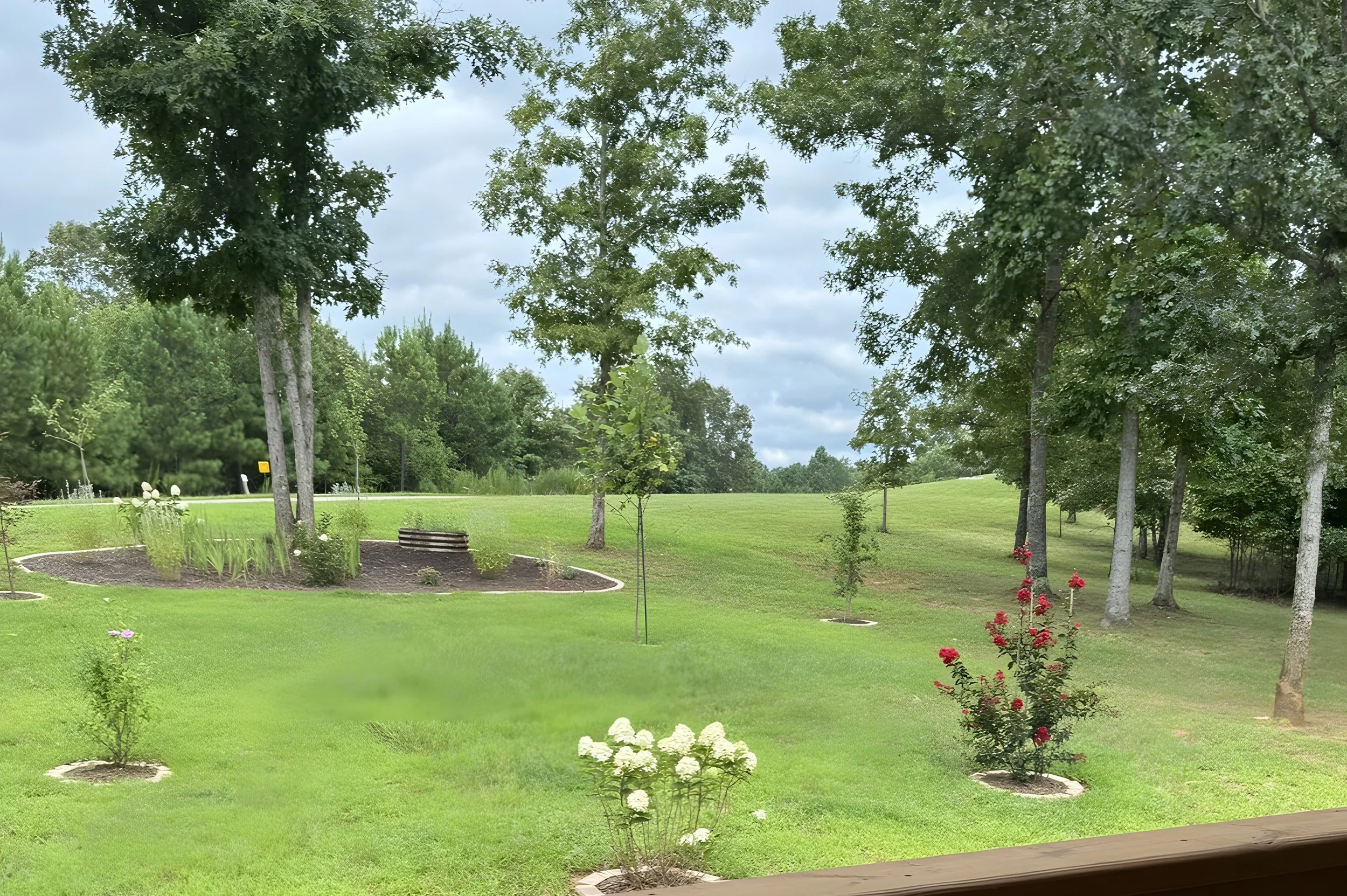 front yard from front porch IMG_0405.jpg