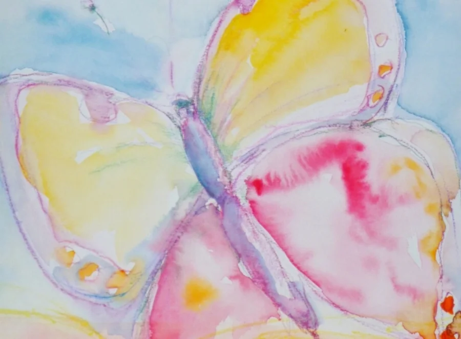 Brightened Butterfly Image.jpg