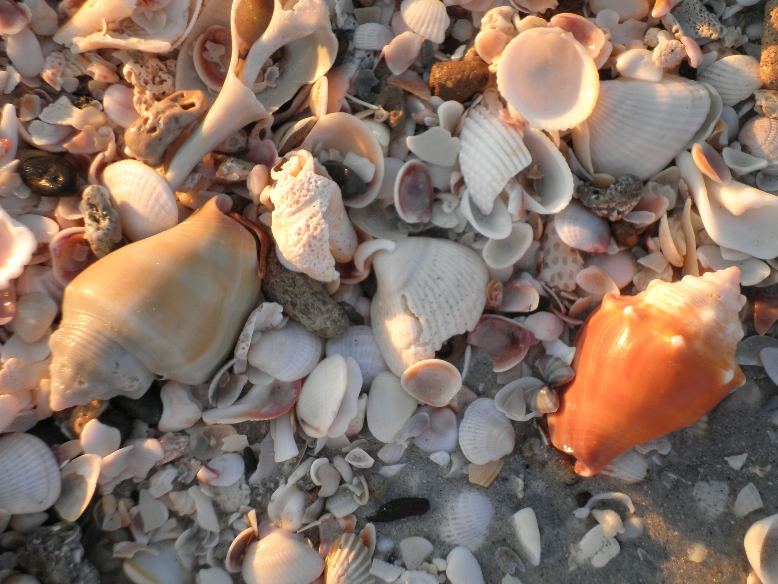 PB120235.jpg