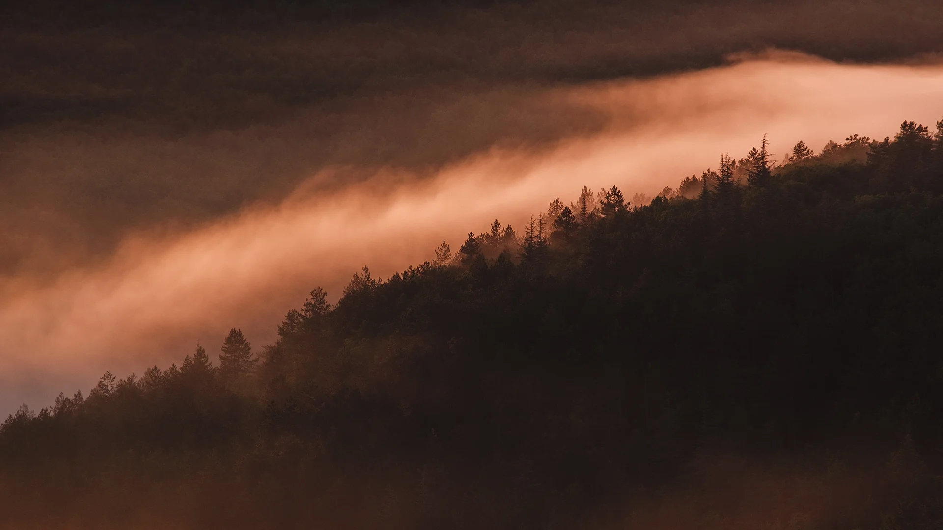 2172431-1920x1080-Foggy-Sunset-in-France.jpg