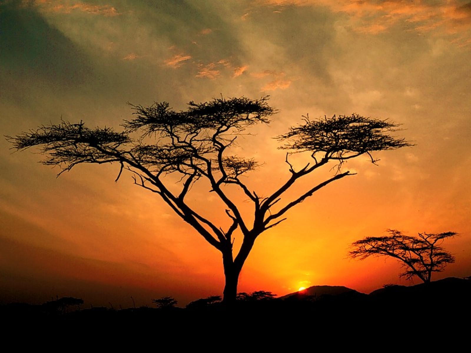 samburu_hills_sunrise_samburu_game_reservation-1600x1200.jpg
