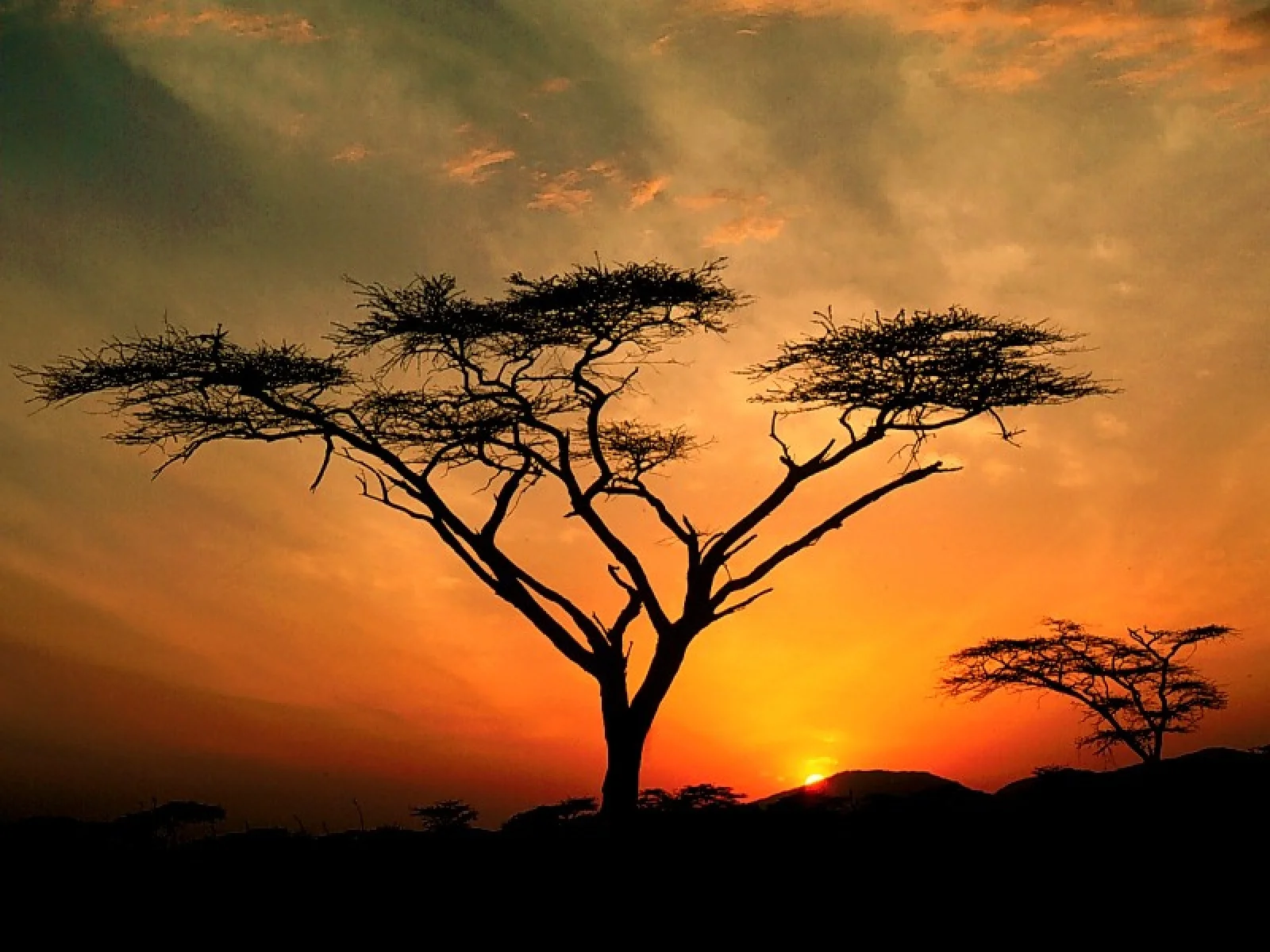 samburu_hills_sunrise_samburu_game_reservation-1600x1200.jpg