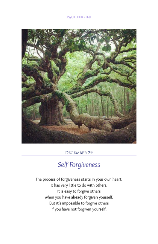 Lightfor the Soul 8.10.17newcvr349.jpg