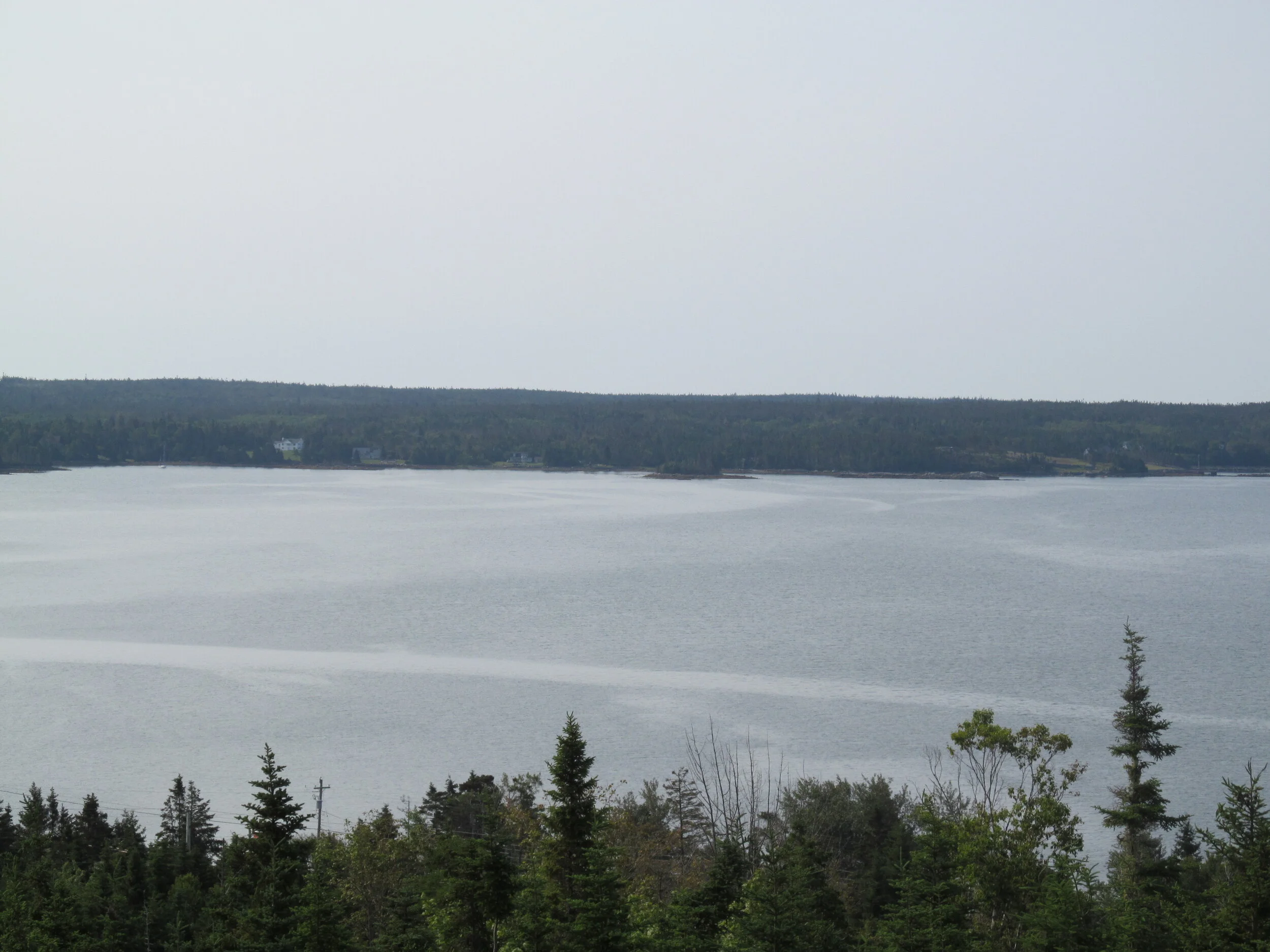 view from top of hill sitting area MG_1215.JPG