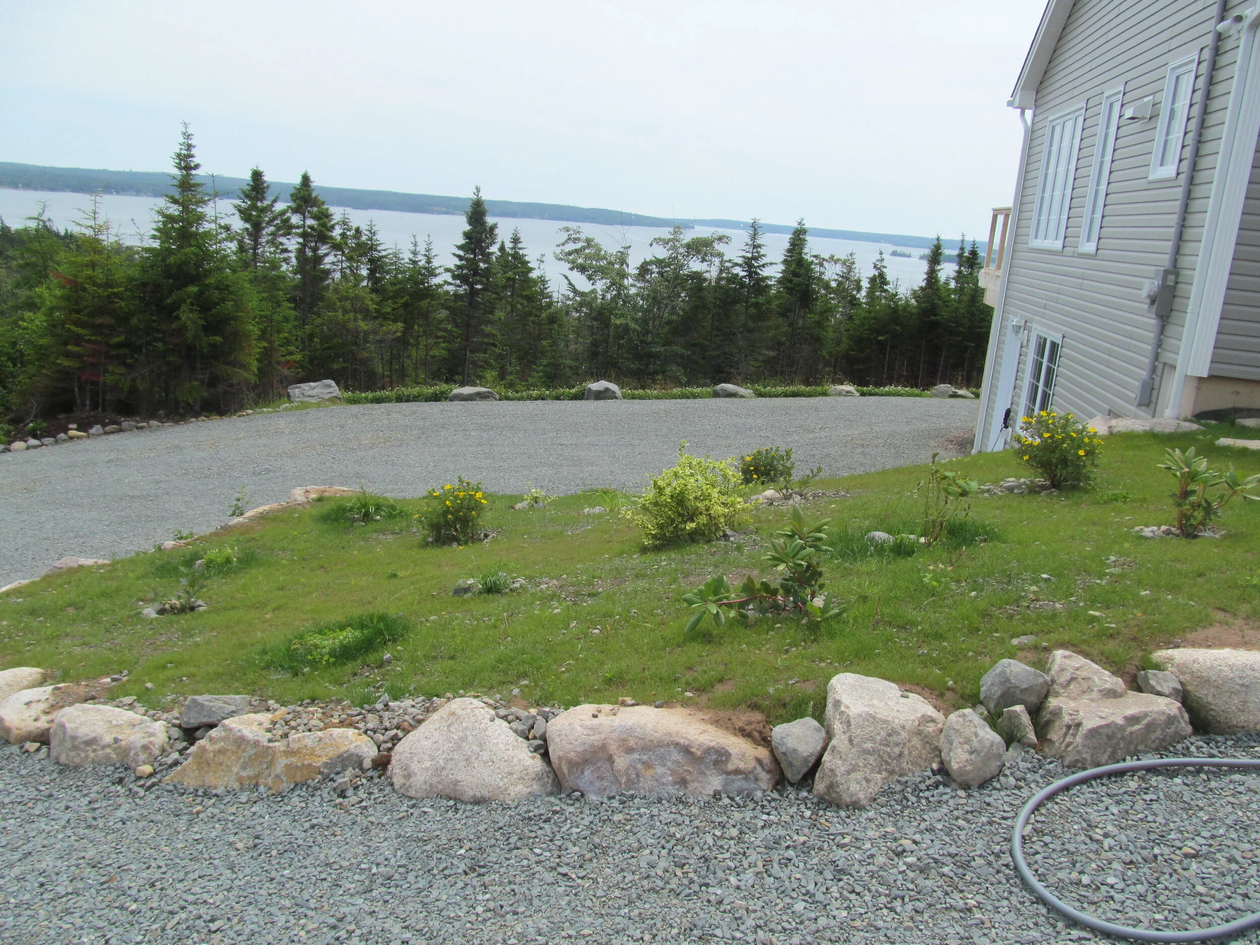 side yard IMG_1176.JPG