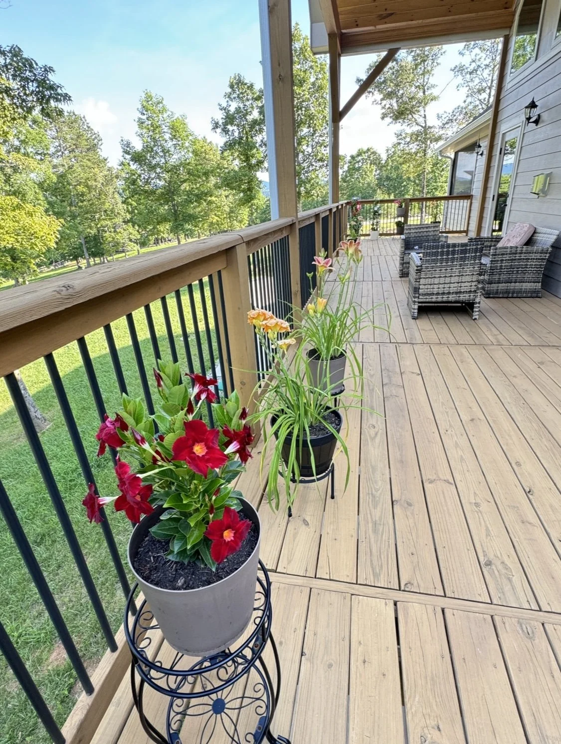 back deckIMG_0425.jpg