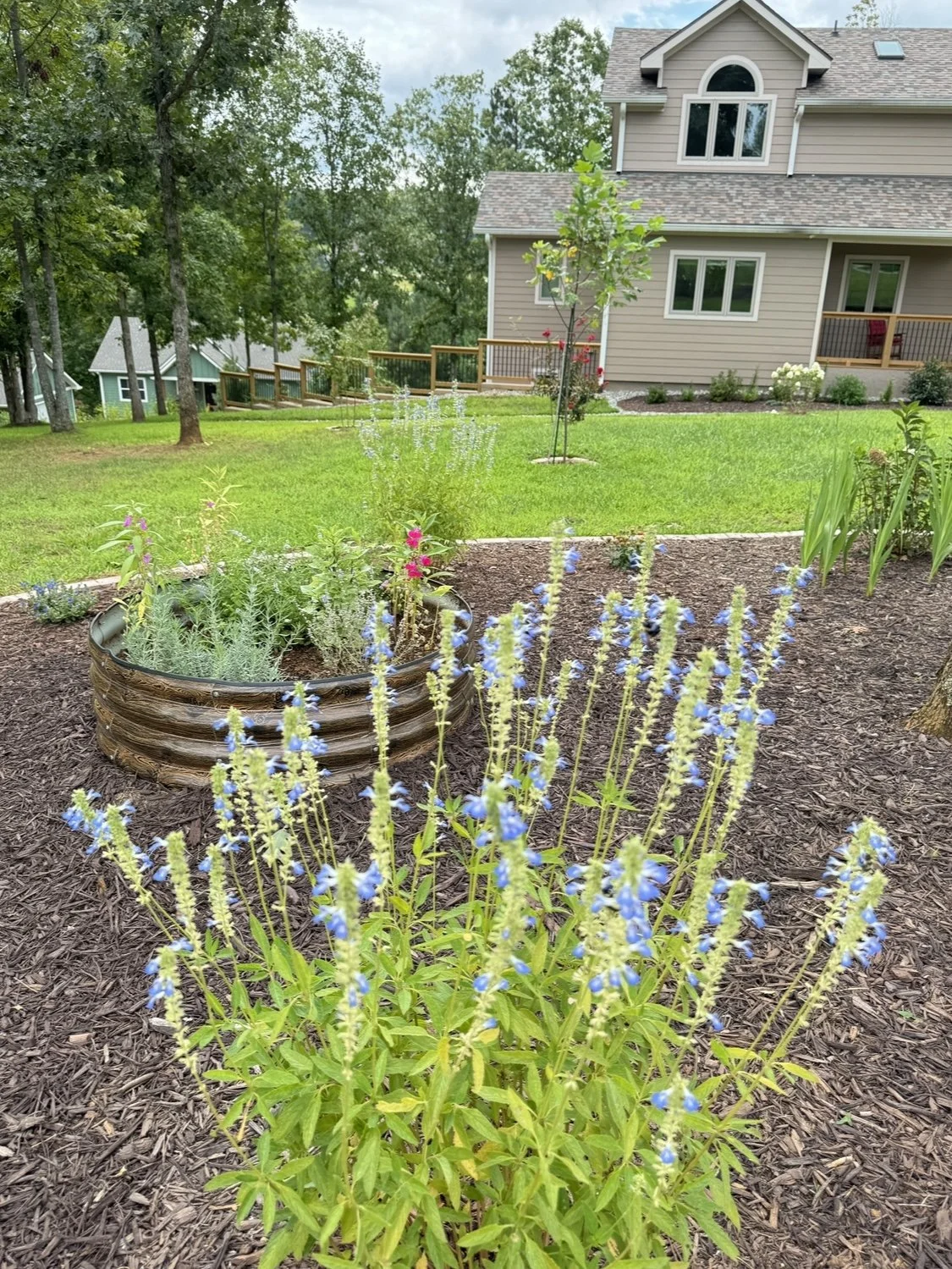 front with center garden IMG_0401.jpg