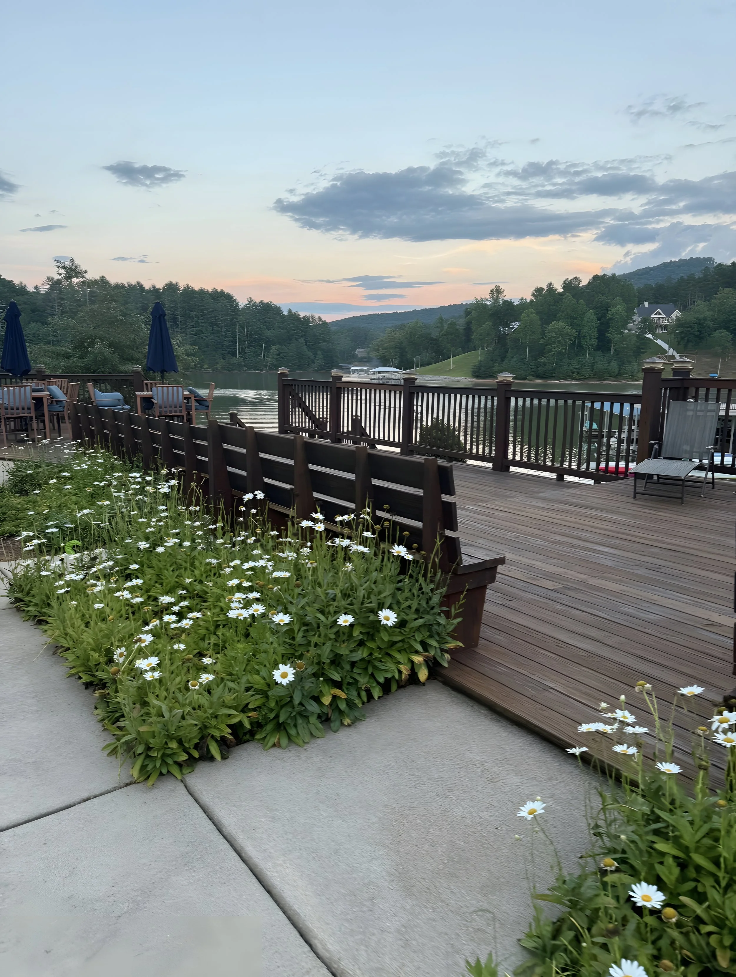 flowers by lake IMG_0068.jpg