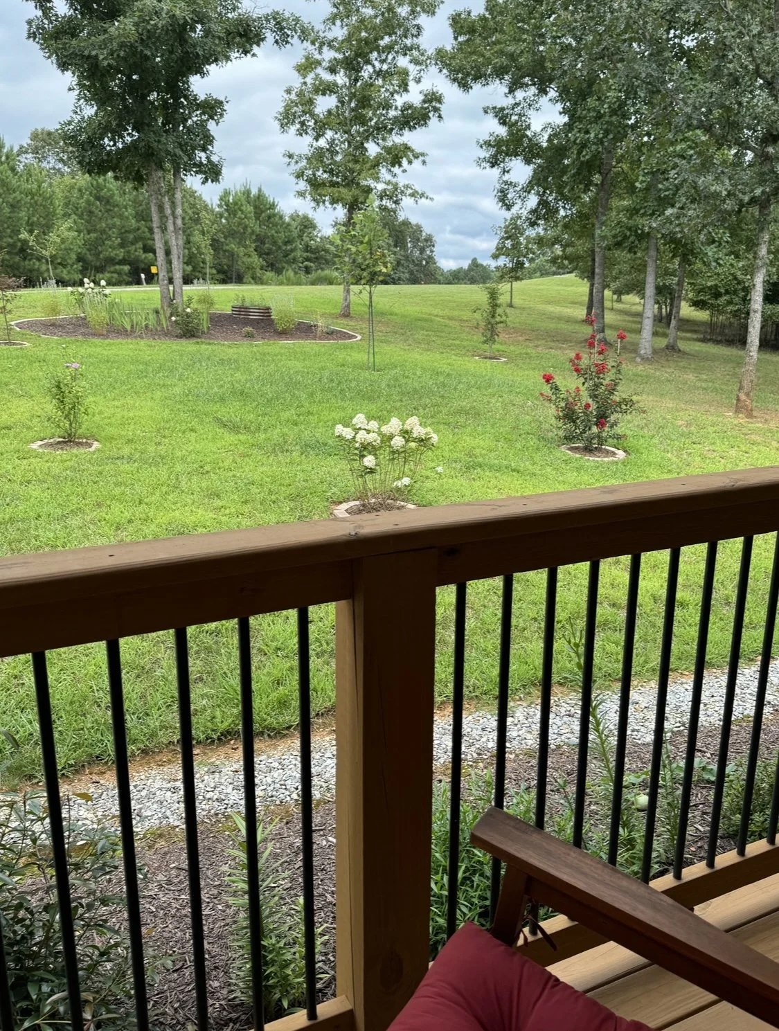 front yard from front porch IMG_0405.jpg