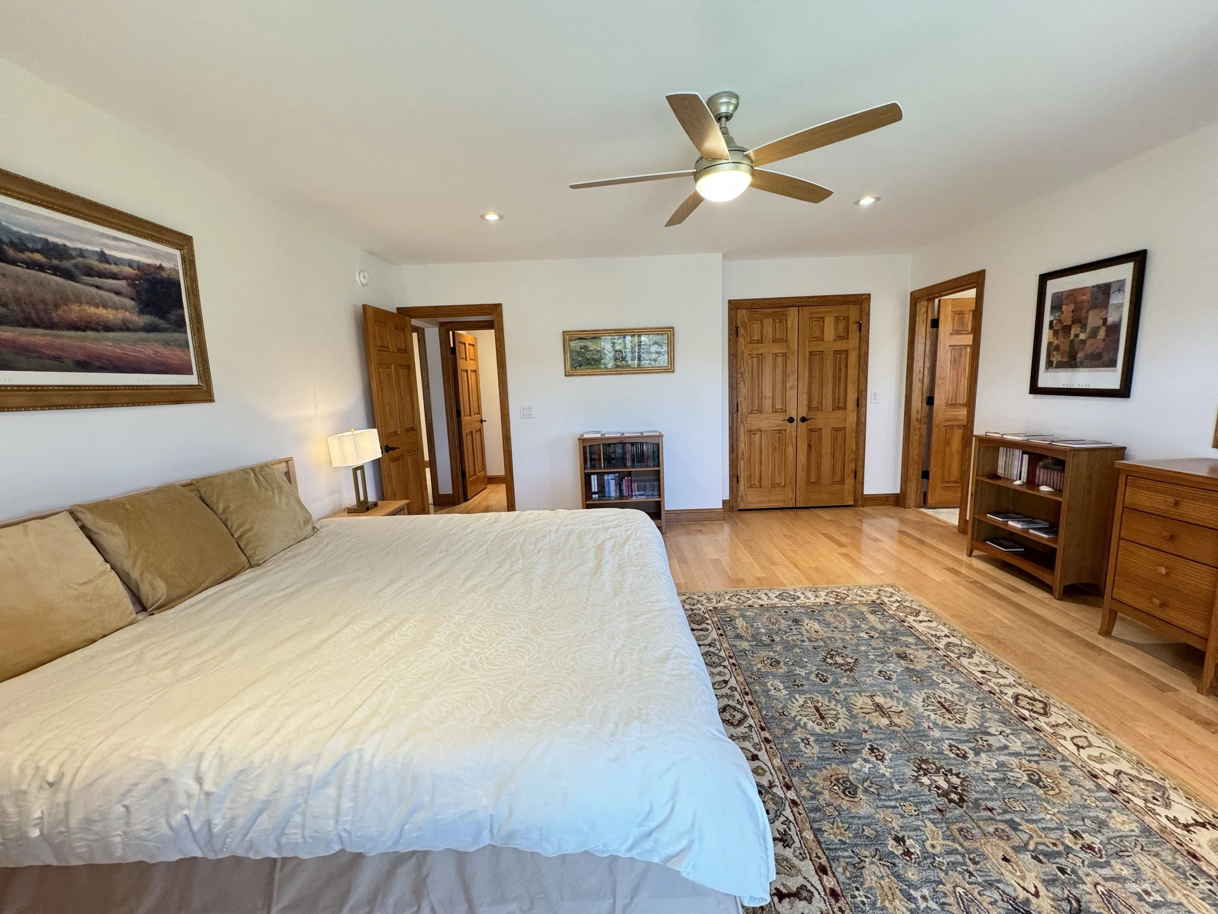 downsiairs master bederoom 6.JPG