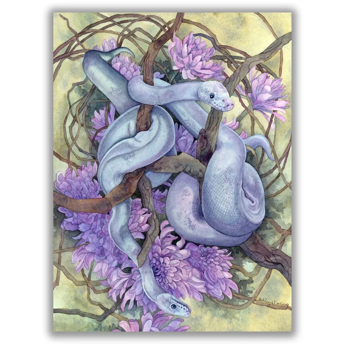 🌸 If you love secret gardens and the quiet hum of wild magic, then you&rsquo;ll enjoy &ldquo;Only The Flowers Knew&rdquo; 🤍

🌿Prints Available 

Beneath the tangling branches, where petals whisper and twilight lingers two serpents slip through the