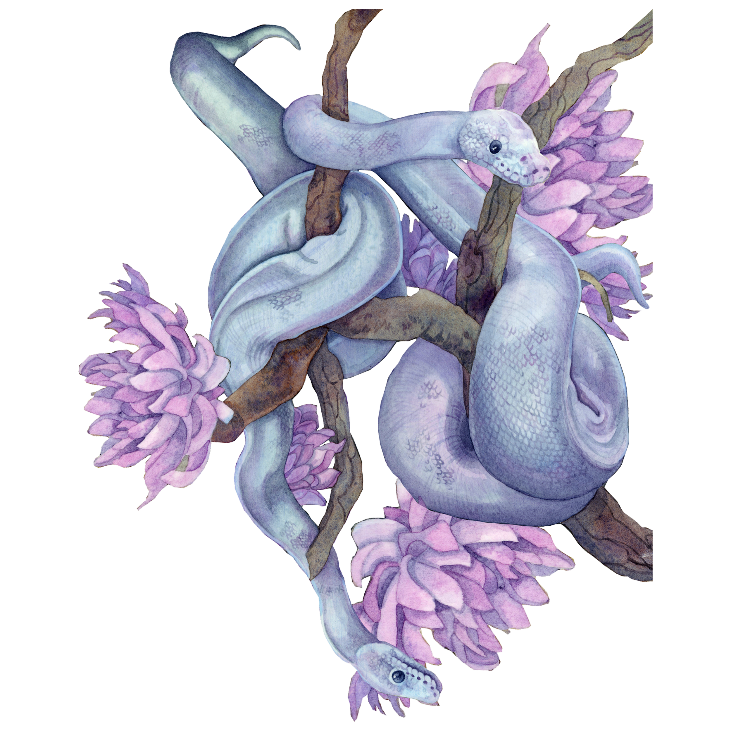 Snake Sticker.png