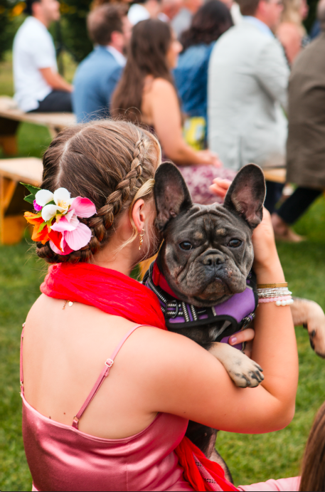 Screen Shot 2024-09-06 at 10.52.08 AM.png