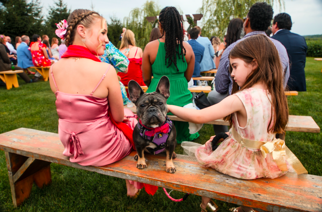 Screen Shot 2024-09-06 at 10.52.03 AM.png