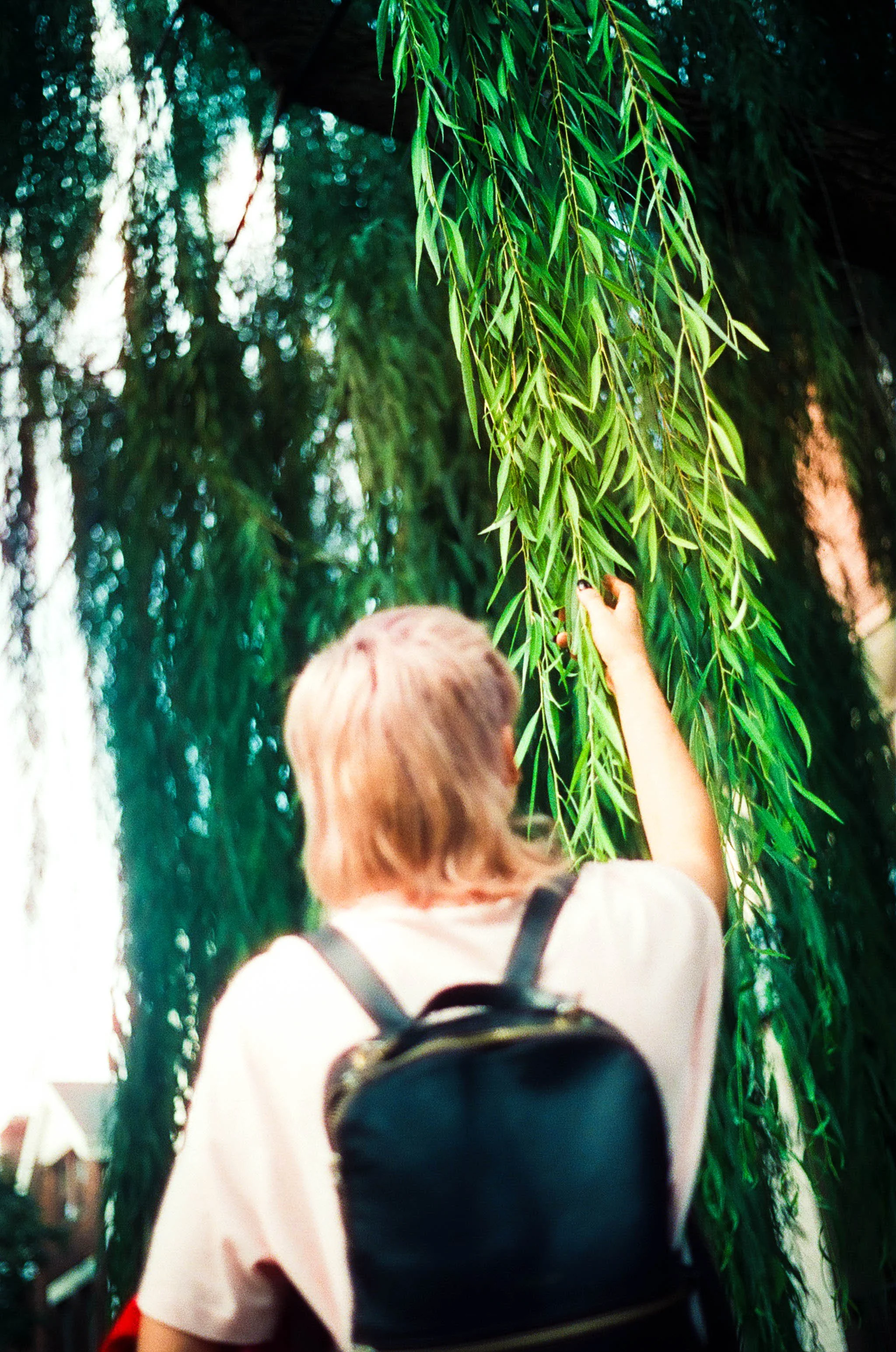 First Photo-000070620016.jpg