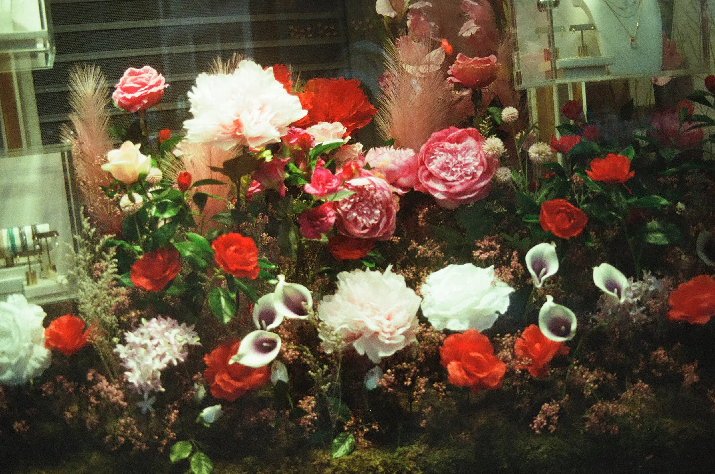 First Photo-000006020004.jpg