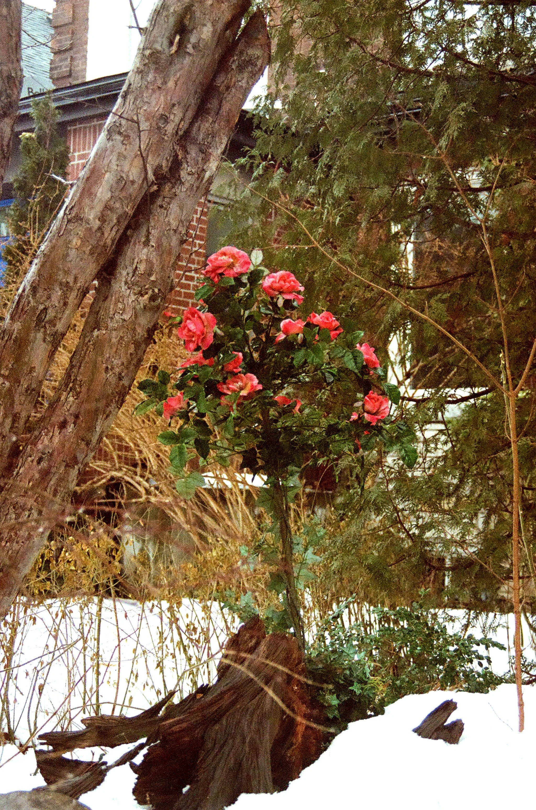 First Photo-000006020030.jpg