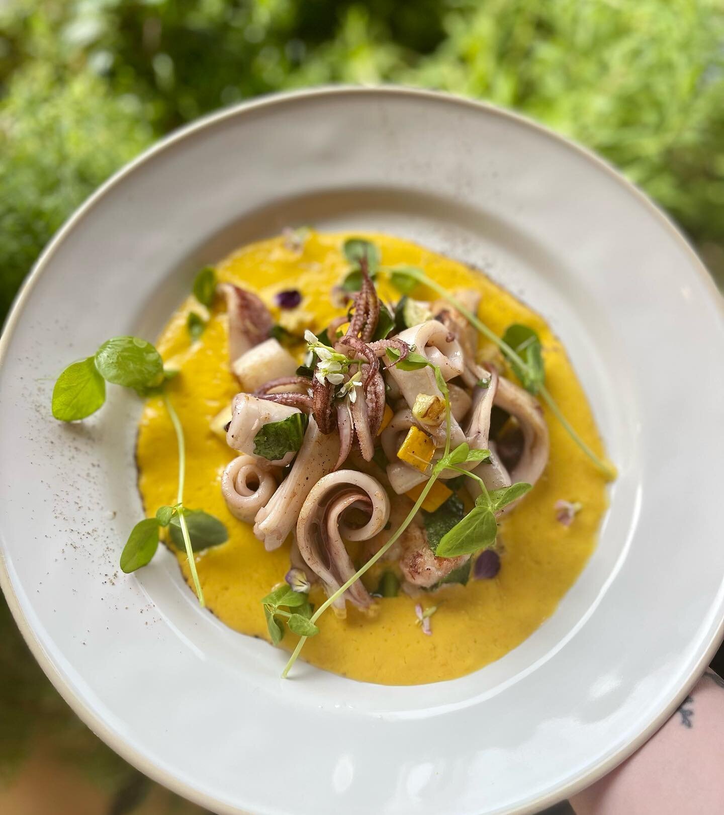 Colpo di Mare con Gazpacho 🐙 

Traditional Ligurian calamari and shrimp salad on top of a farm vegetable gazpacho soup.

#mangia #soloitaliano #ligurianfood #chefpaololaboa #portlandmaine