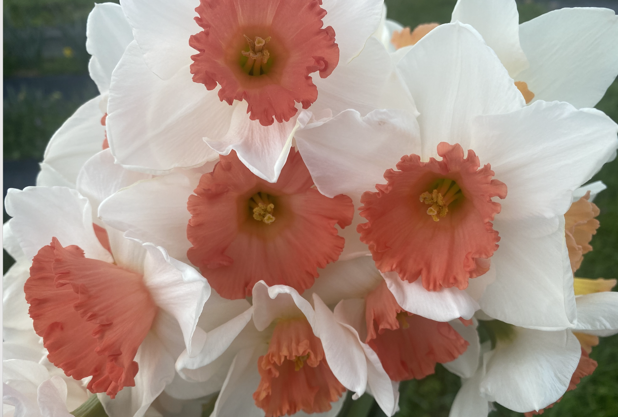 Screen Shot 2023-04-05 at 9.18.53 PM.png