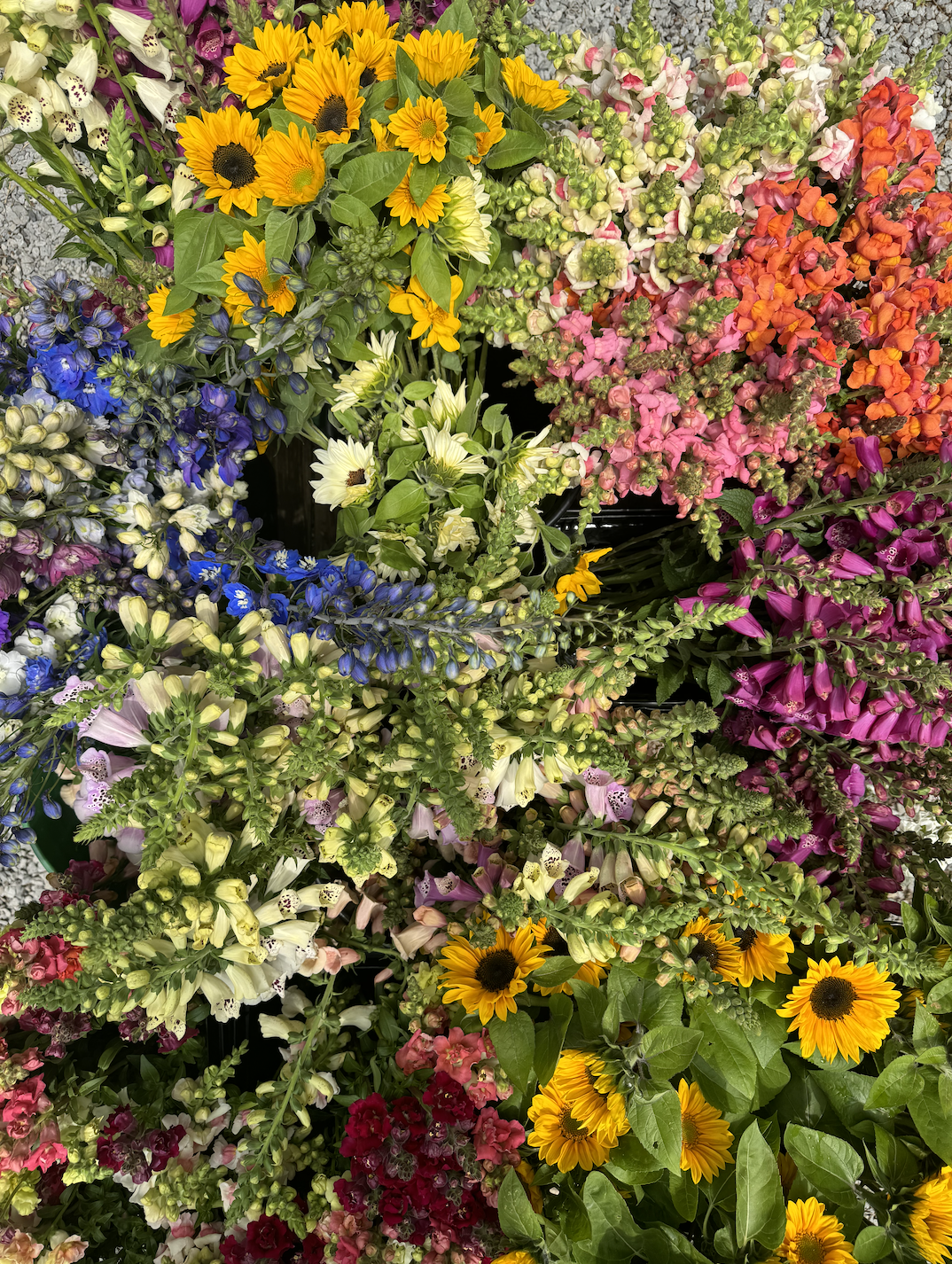 Screenshot 2025-01-12 at 3.50.13 PM.png