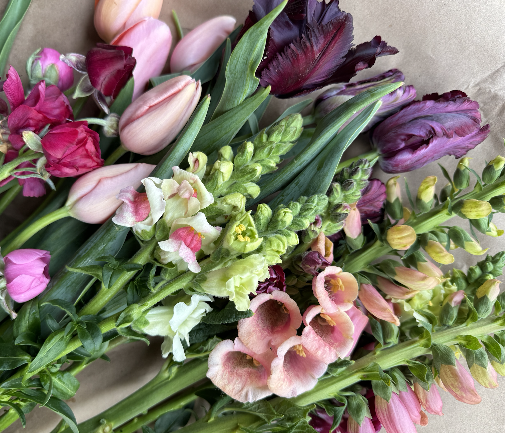 Screenshot 2025-01-12 at 3.34.57 PM.png