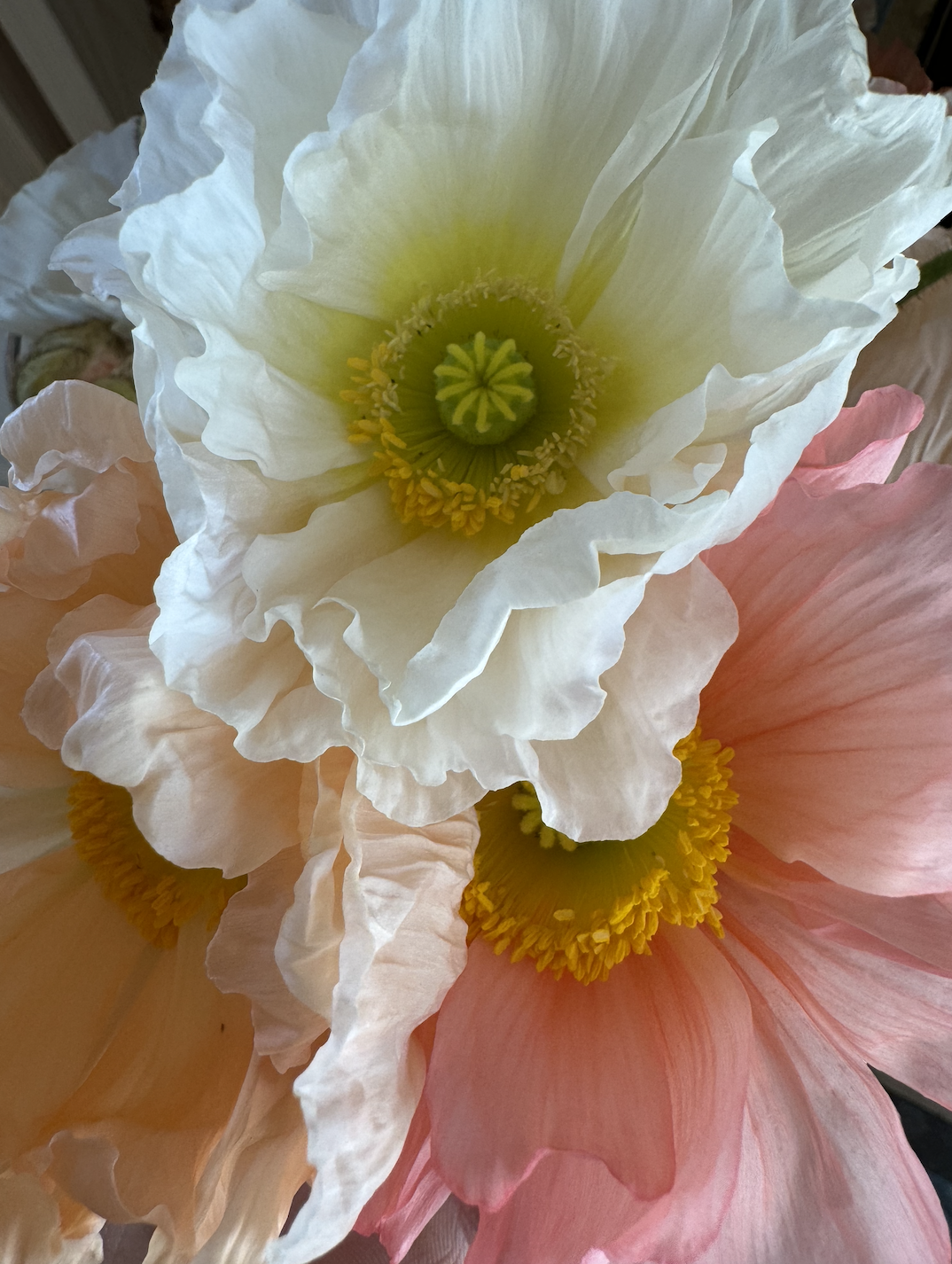 Screenshot 2025-01-12 at 3.54.10 PM.png