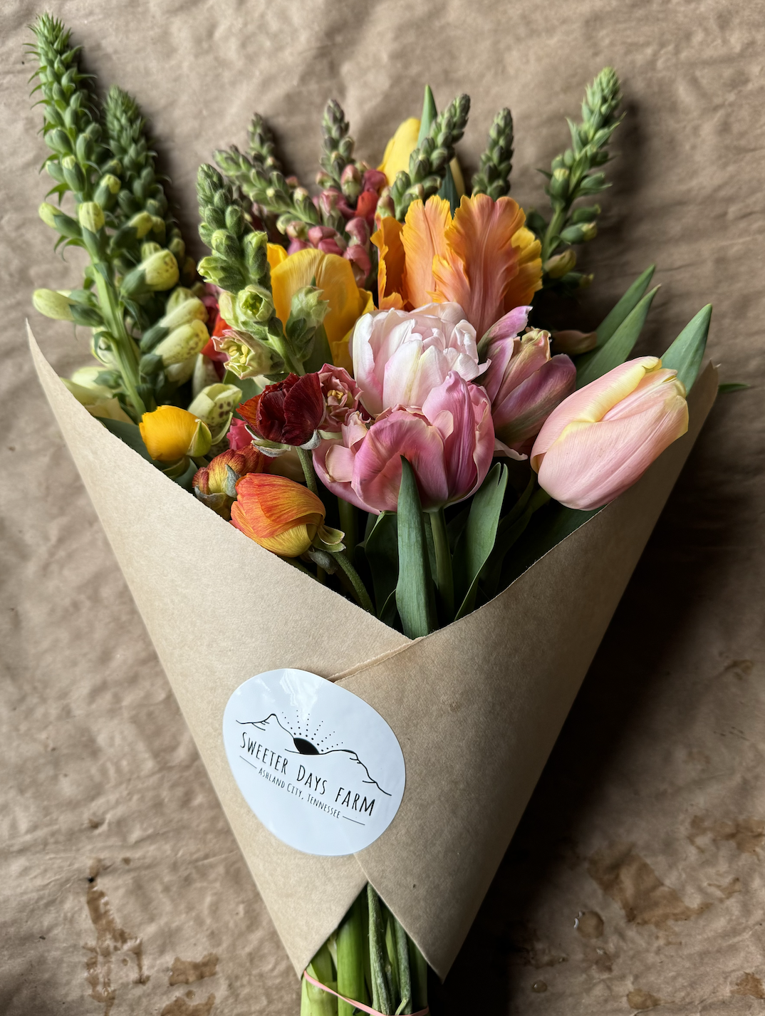 Screenshot 2025-01-12 at 3.52.48 PM.png