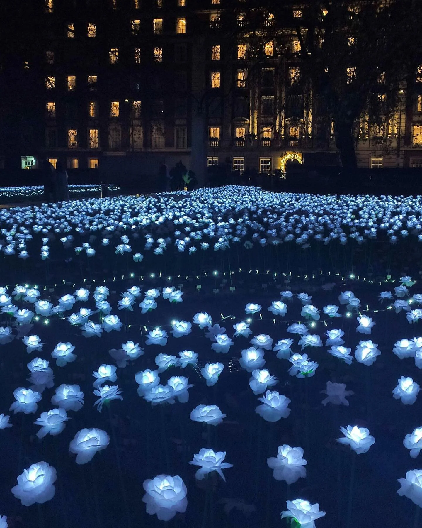 &Egrave; una di quelle esperienze che io consiglio veramente per la sua capacit&agrave; di rapire respiro, sguardo e parola. 

Per celebrare le festivit&agrave; natalizie, Grosvenor Square si &egrave; trasformata ancora una volta nell'Ever After Gard