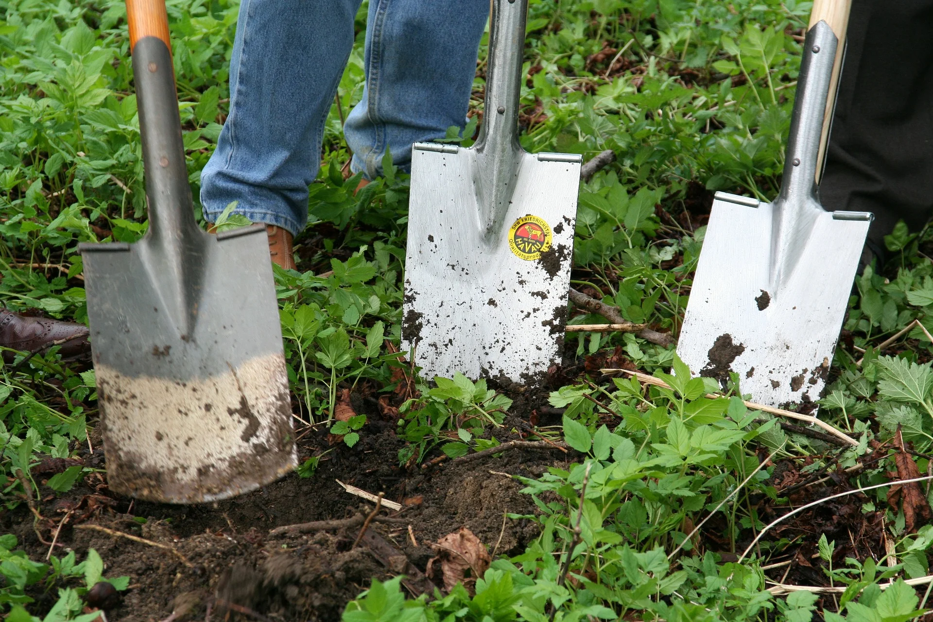gardening-331986_1920.jpg