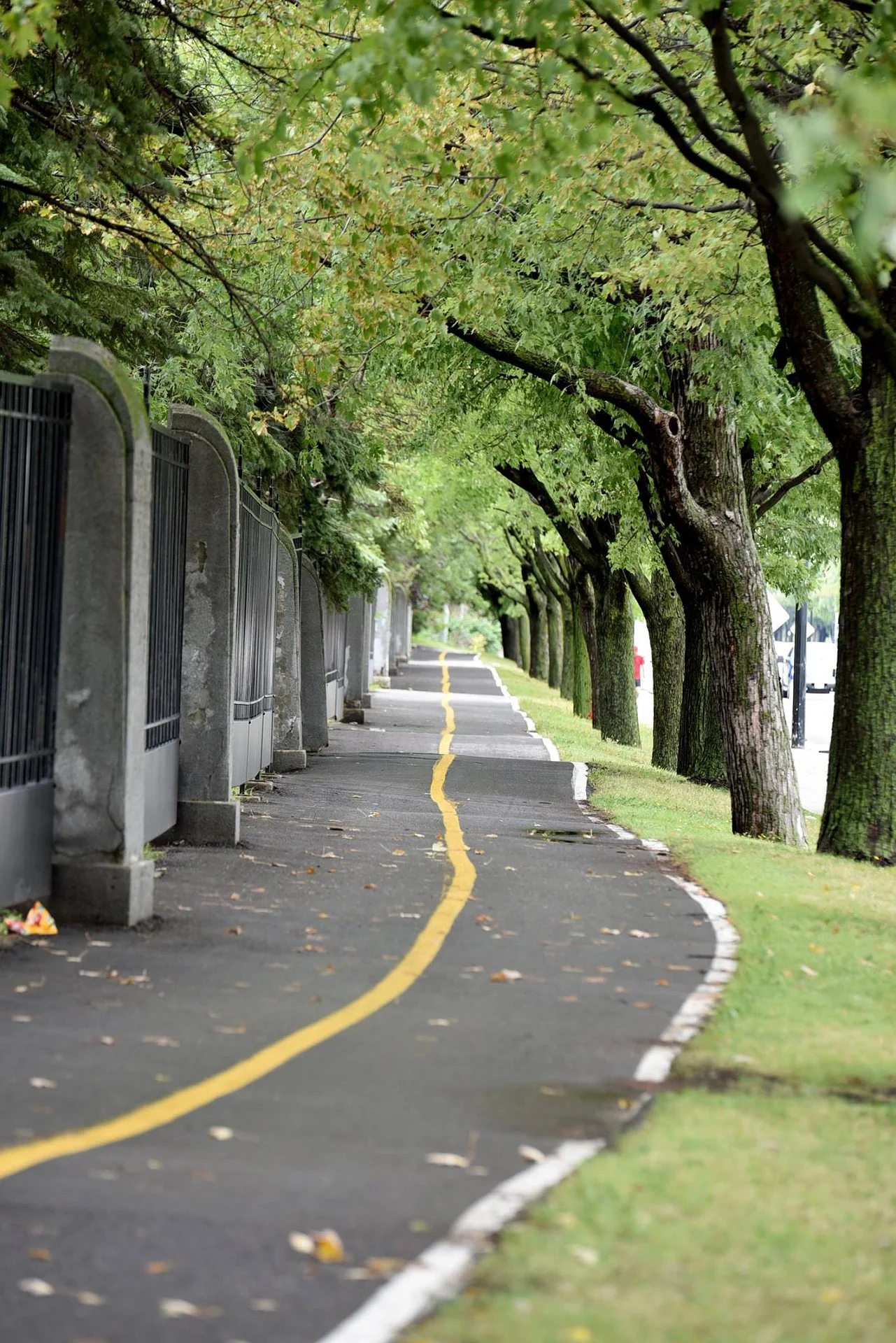 bicycle-path-2770434_1920.jpg