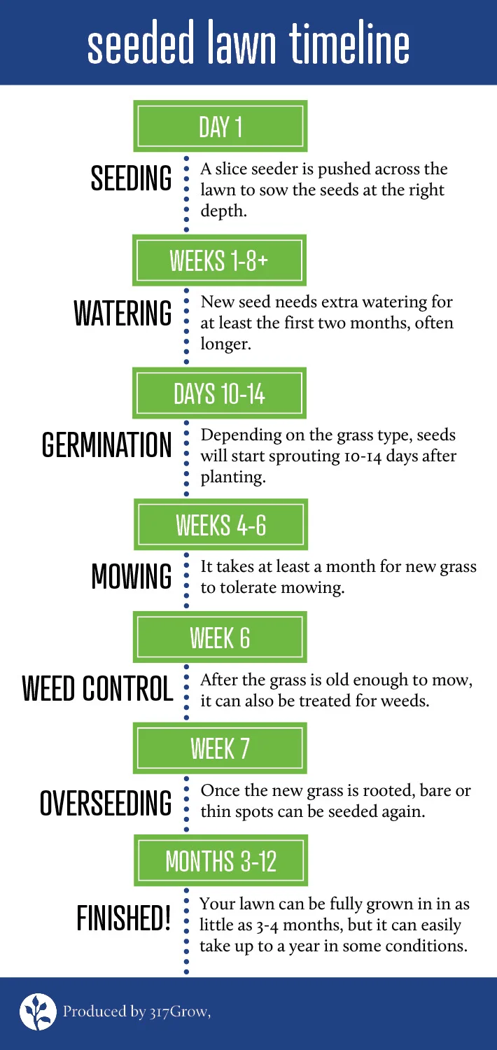 Grow When To Cut New Seeded Grass Newly Seeded Lawn New Lawn When