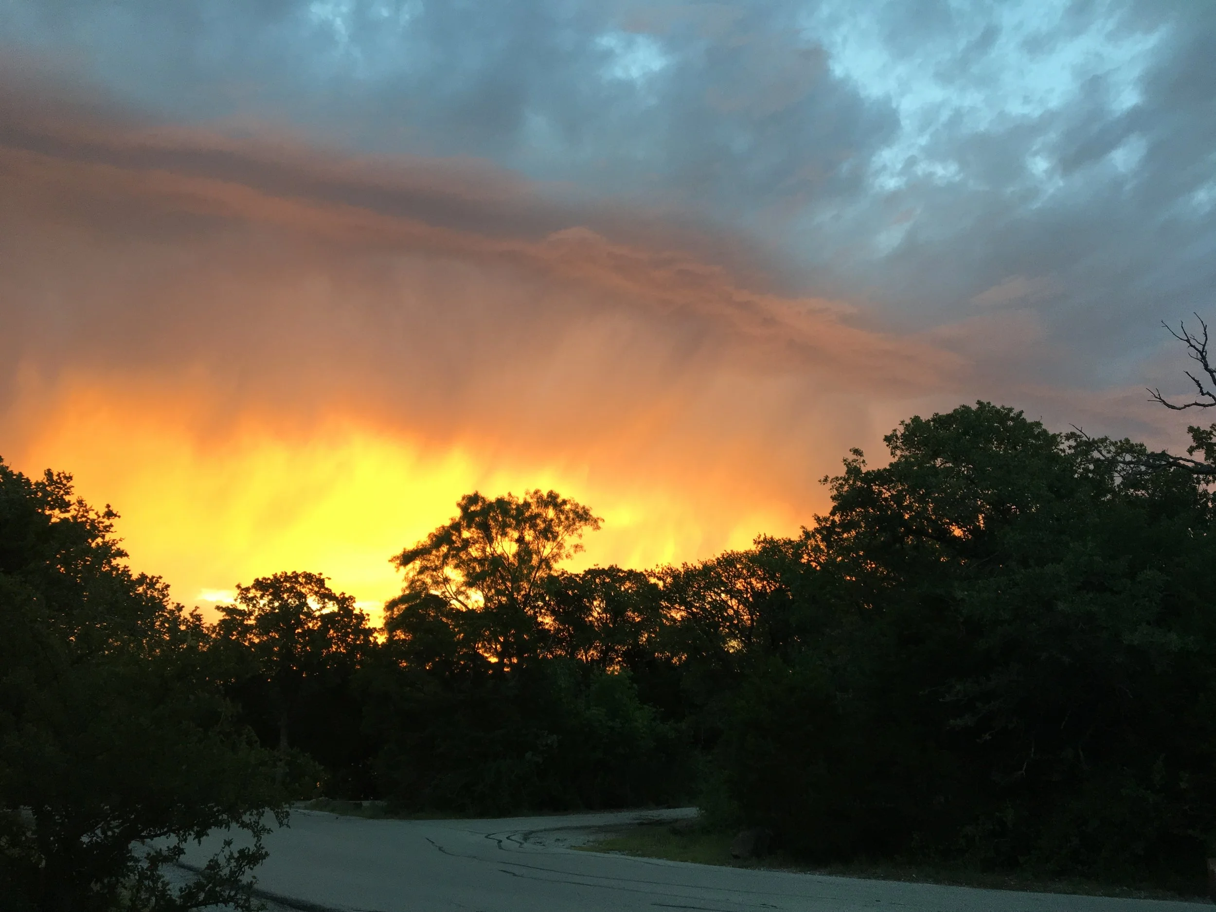 I Am Not a Jellyfish - Part Two