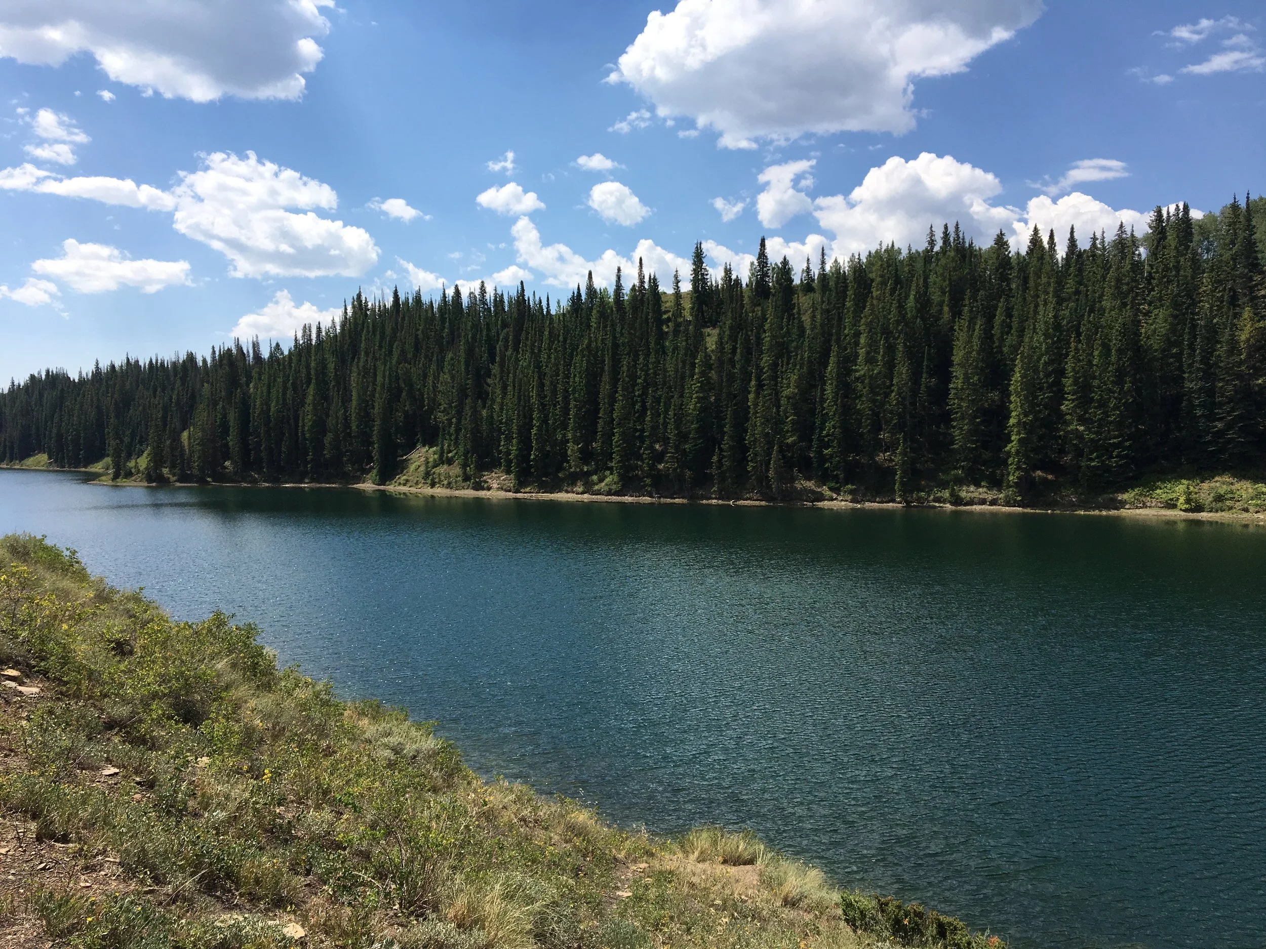 Texas Deb Goes to Crested Butte - Day Four