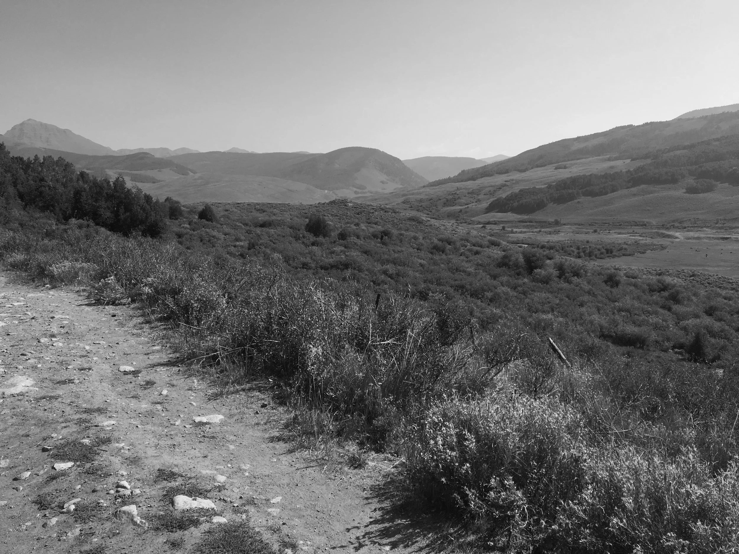 Used-Tah-Could and Can-Do