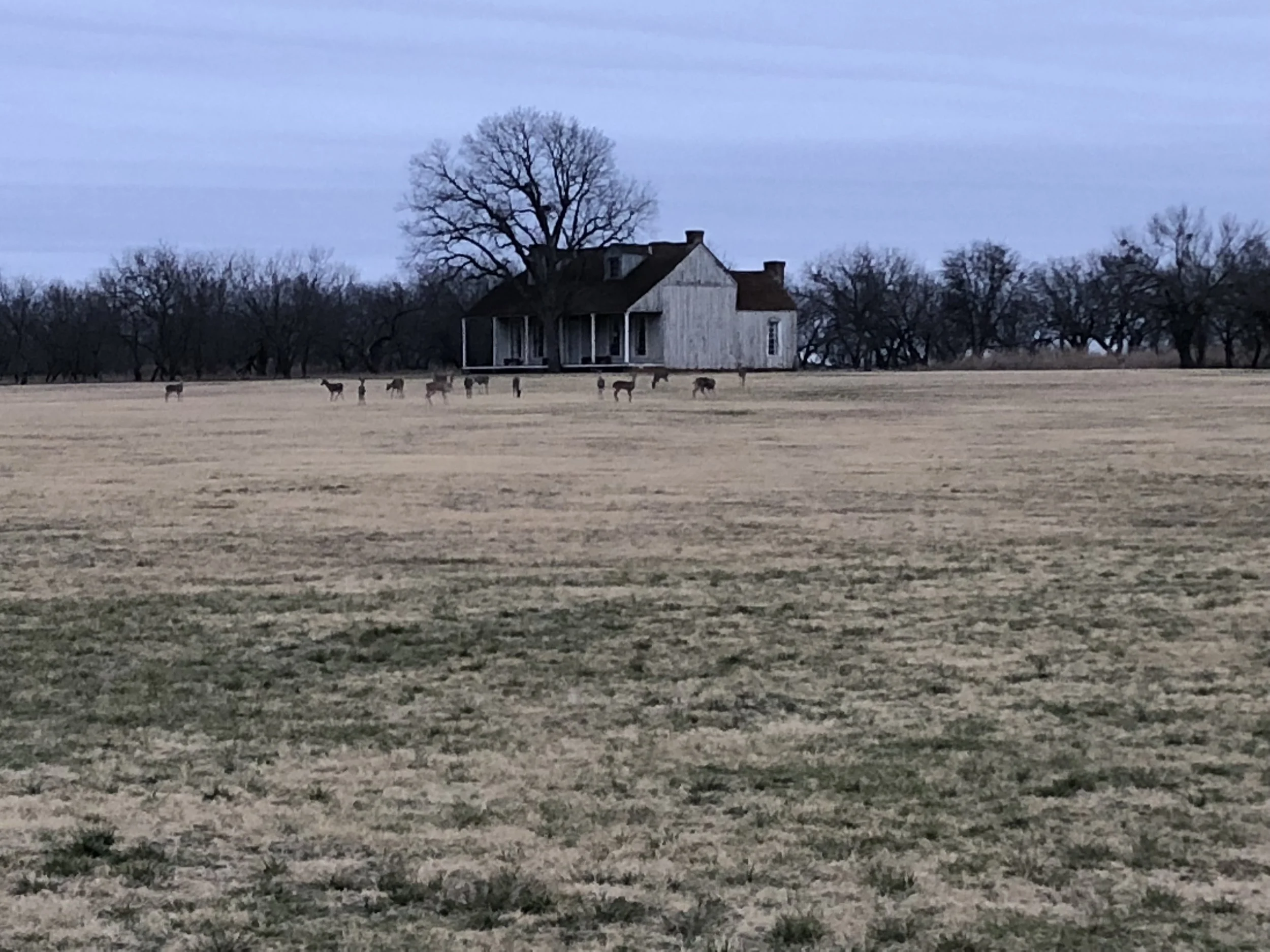 "AS WE STAND AND AS WE SING..."