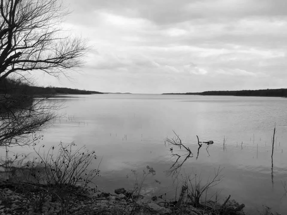 The Fruit of this Tree