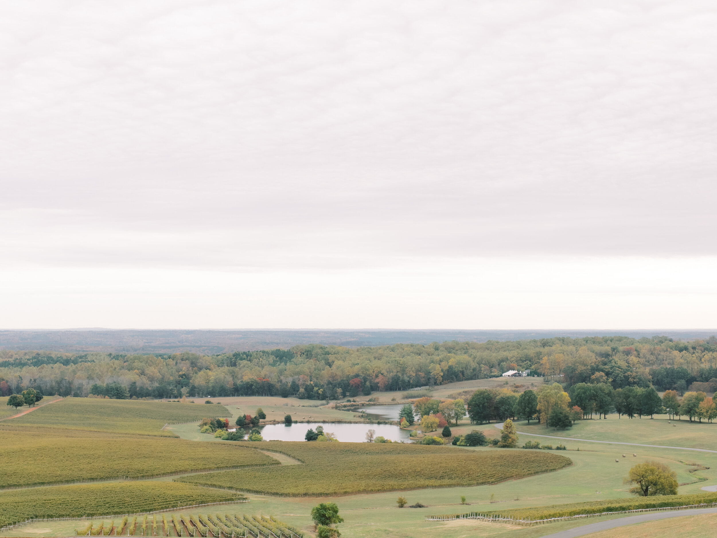 Trump Winery Wedding Photographer Charlottesville Virginia Kayla Patrick-11.jpg