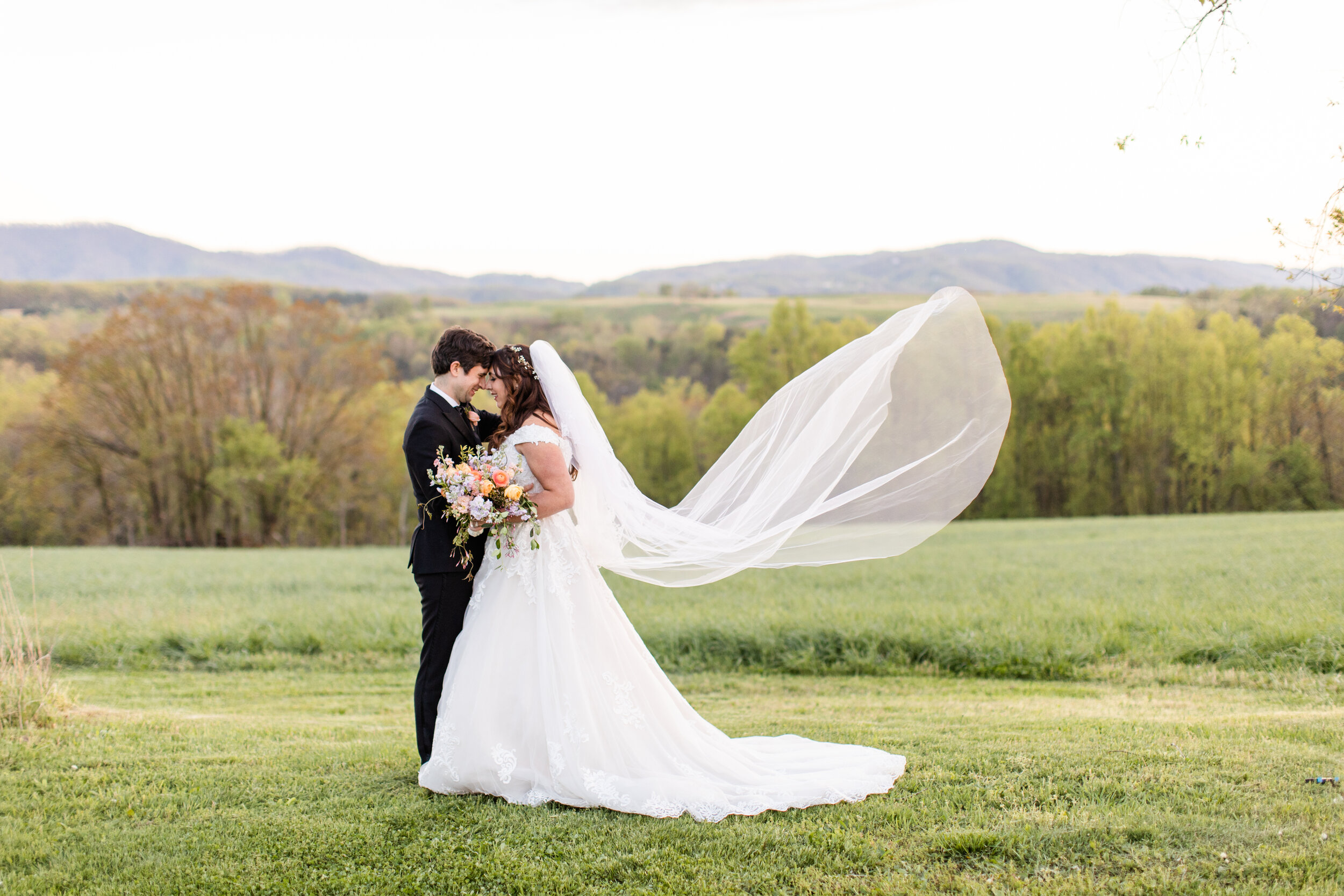 WHS_6023Whole-Heart-Studios-Wedding-Draper.jpg