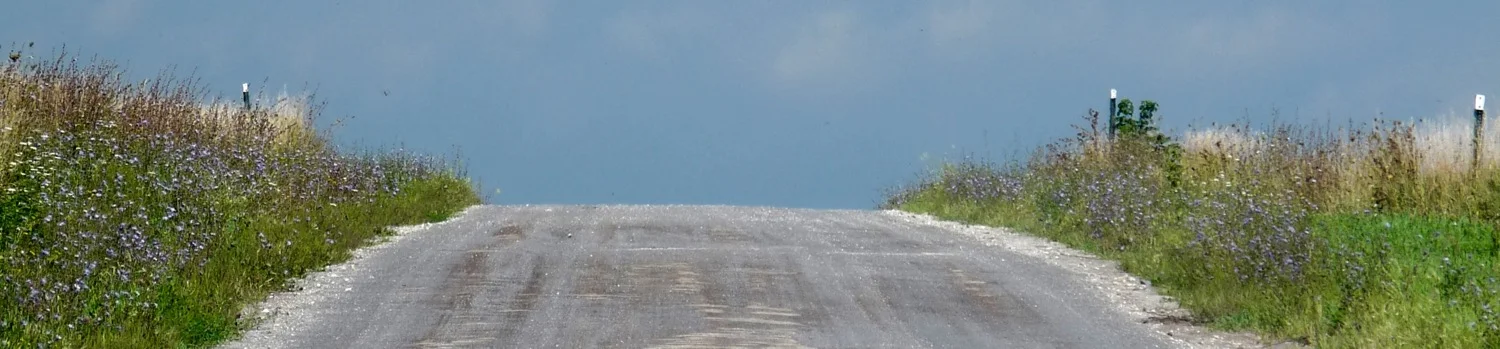 spring road crest - 1.jpg