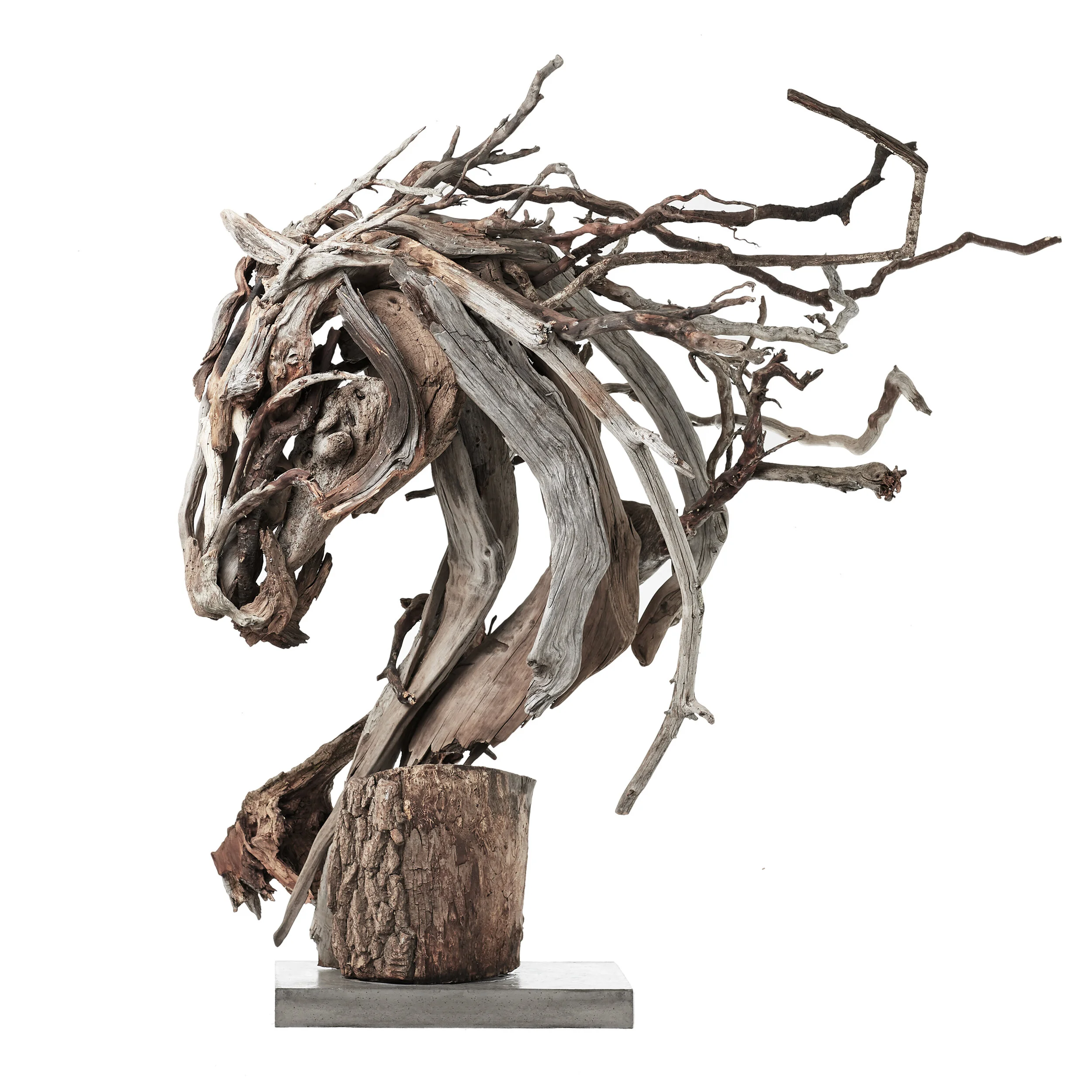 HORSE 8 and 9 10_0001_left.jpg