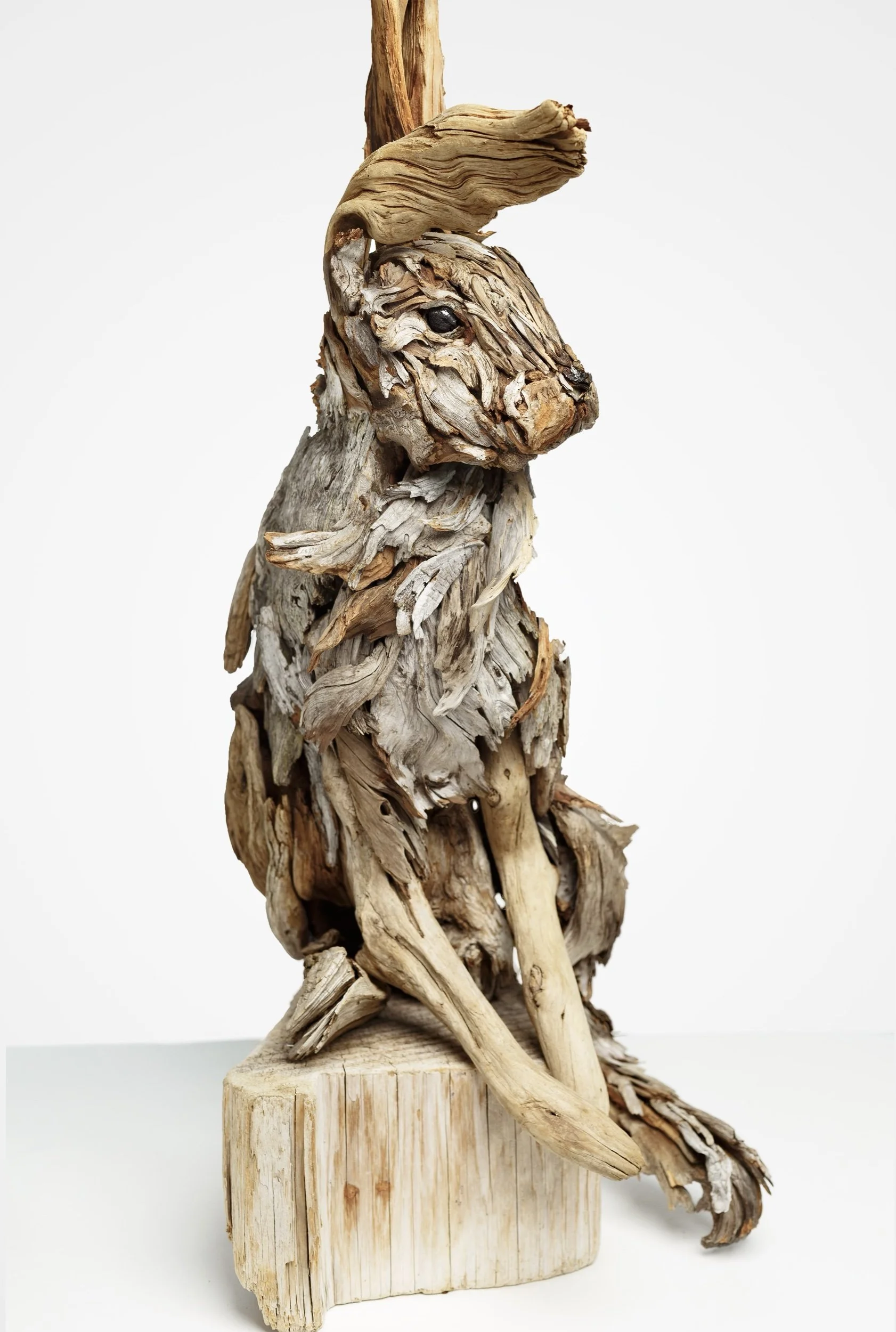 bunny portrait 1.jpeg