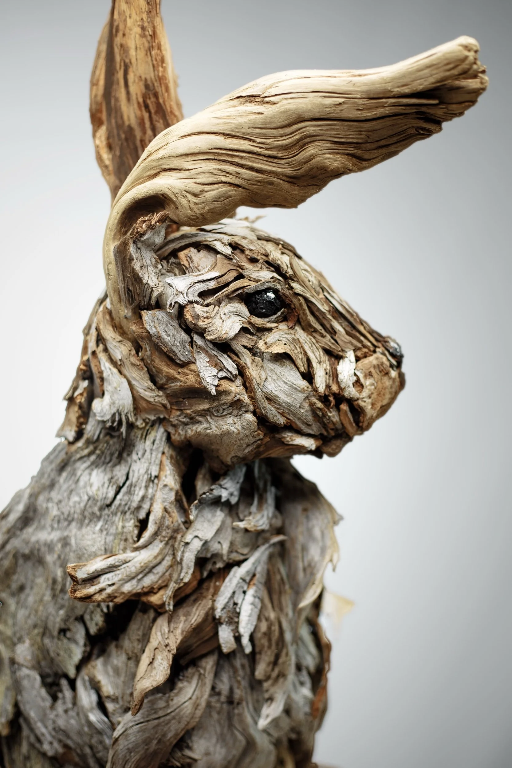 bunny portrait 2.jpeg