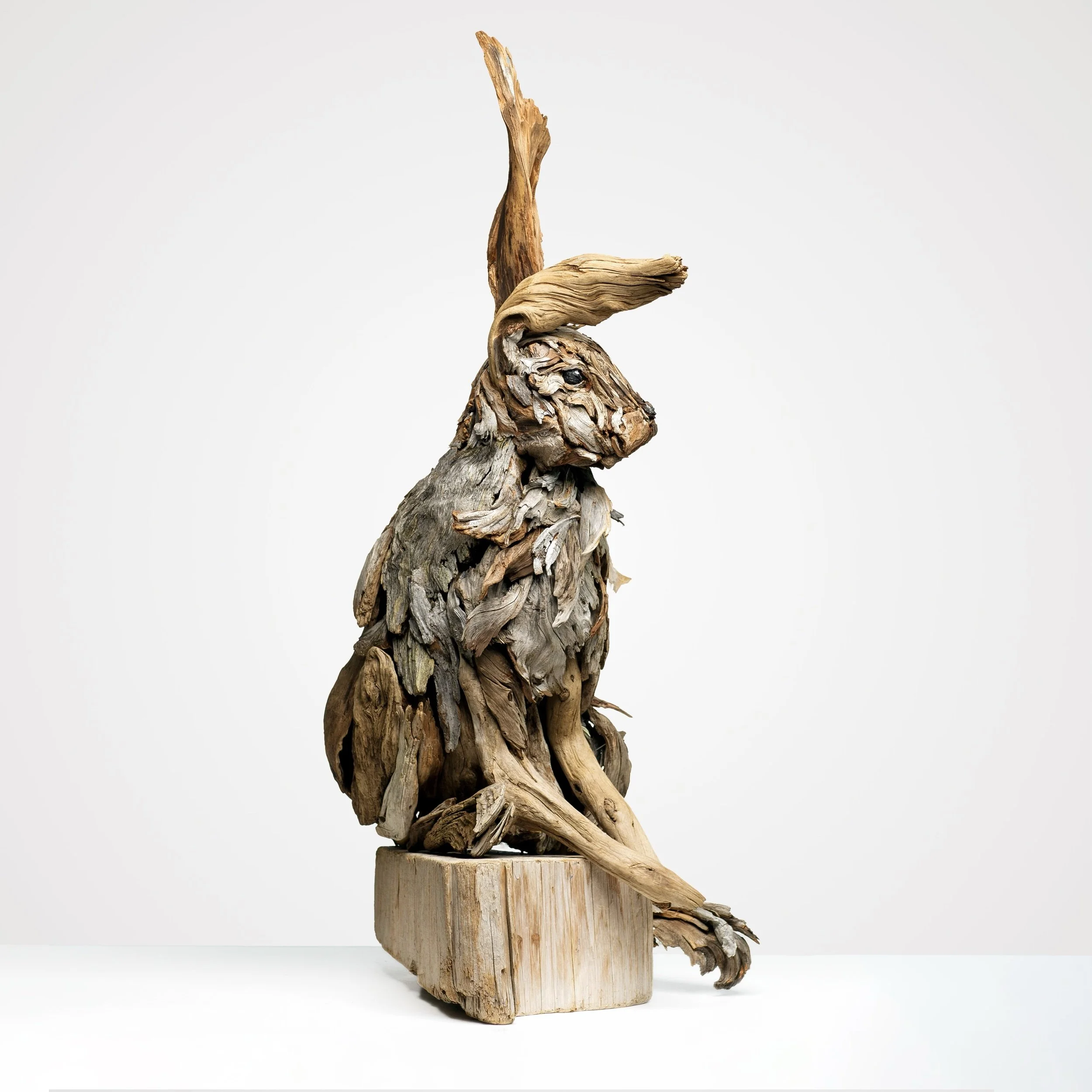 bunny front square.jpeg