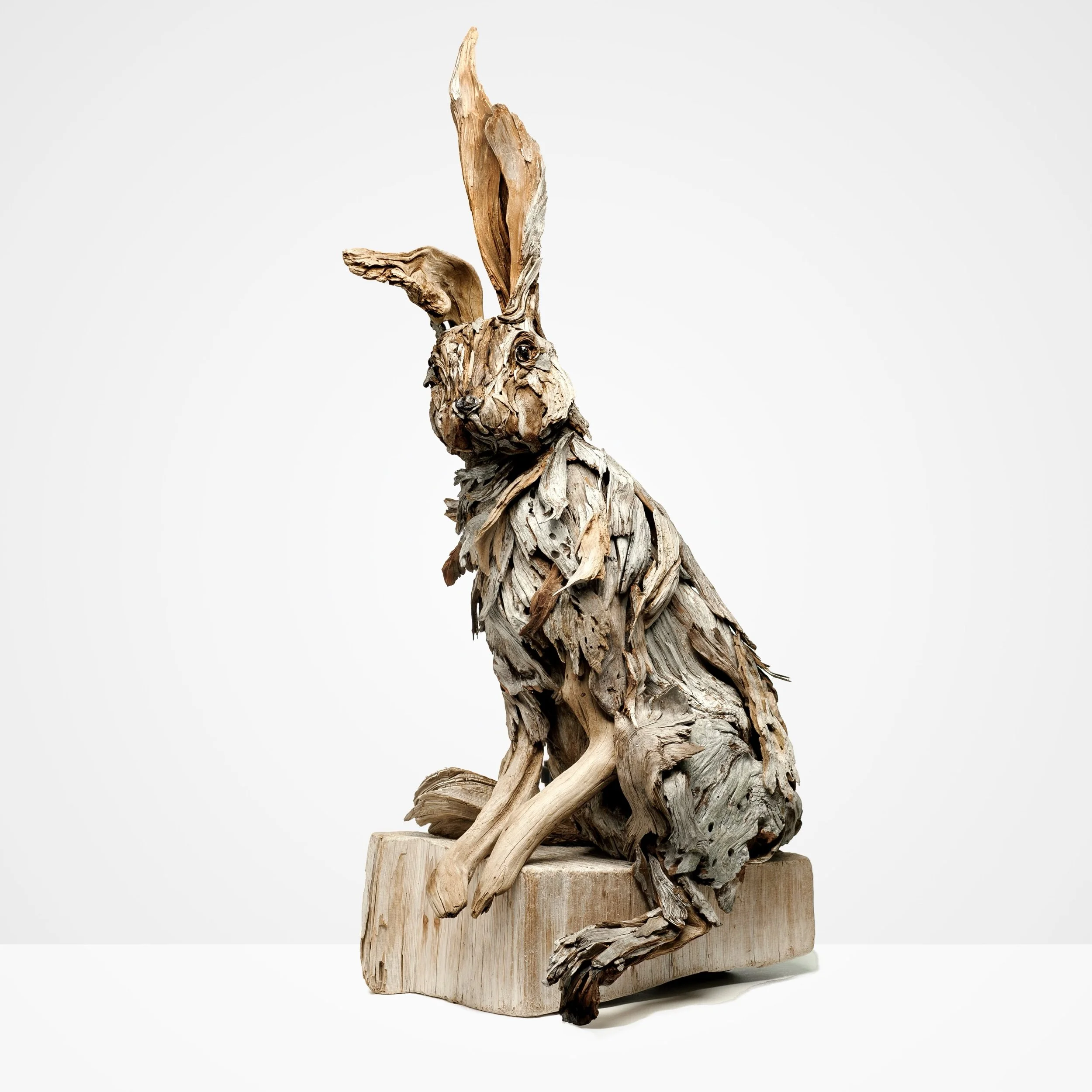 bunny front 2 square.jpeg