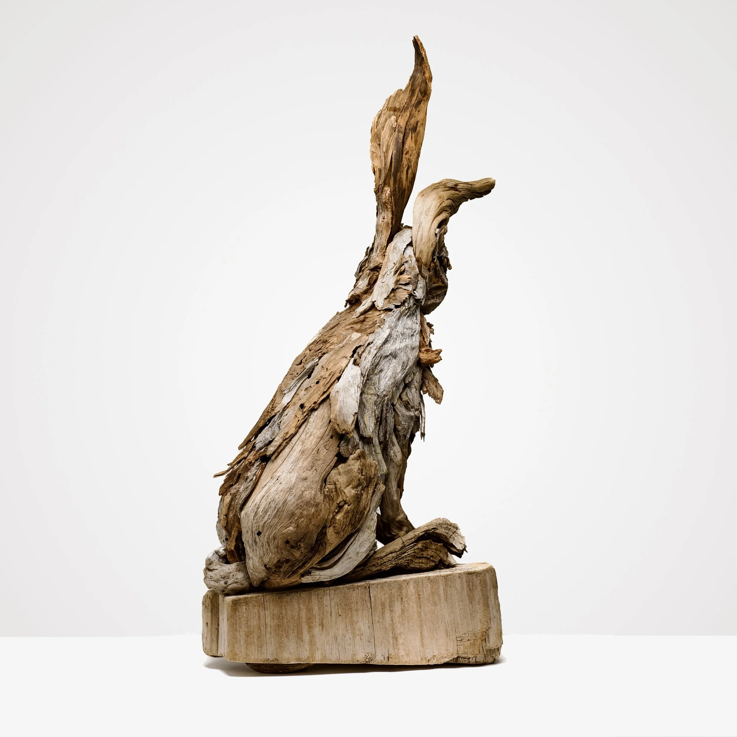 bunny back square.jpeg