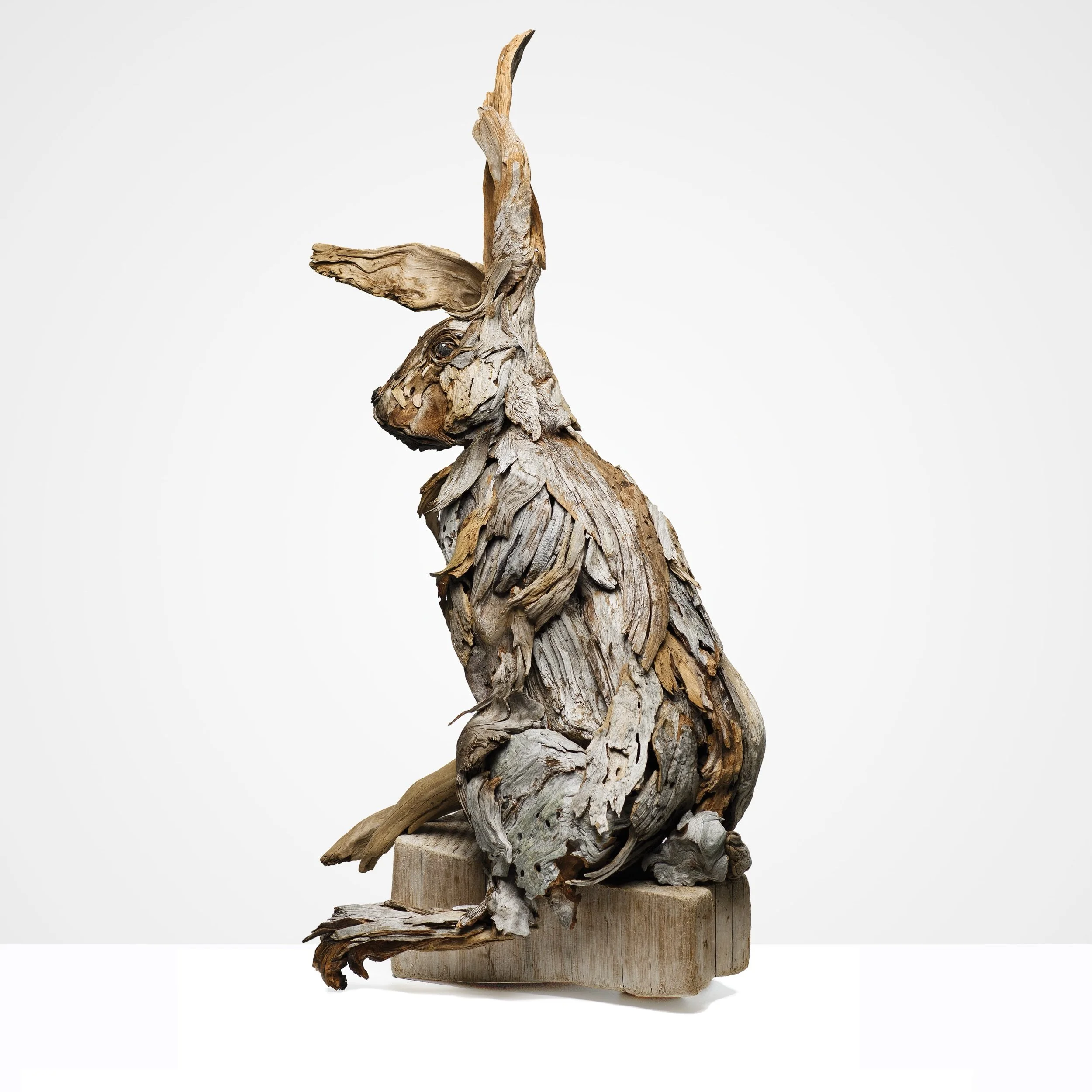 bunny back 2 square.jpeg