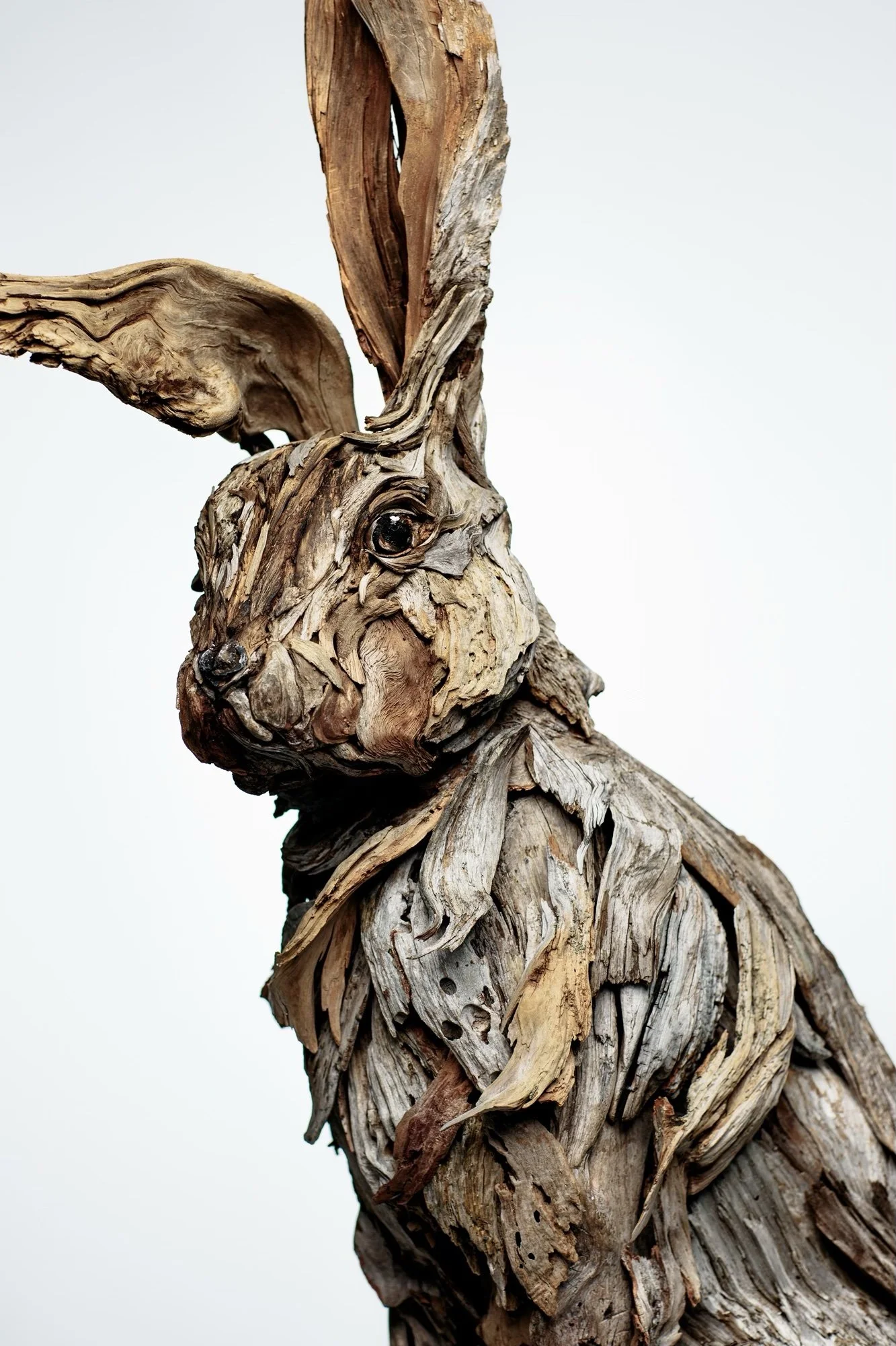 bunny portrait 3.jpeg